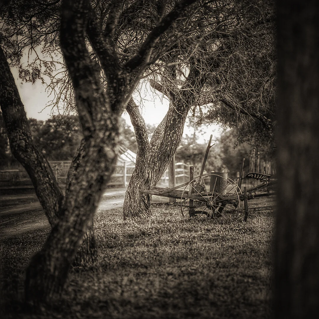 Volunteering at Urban Roots Farm