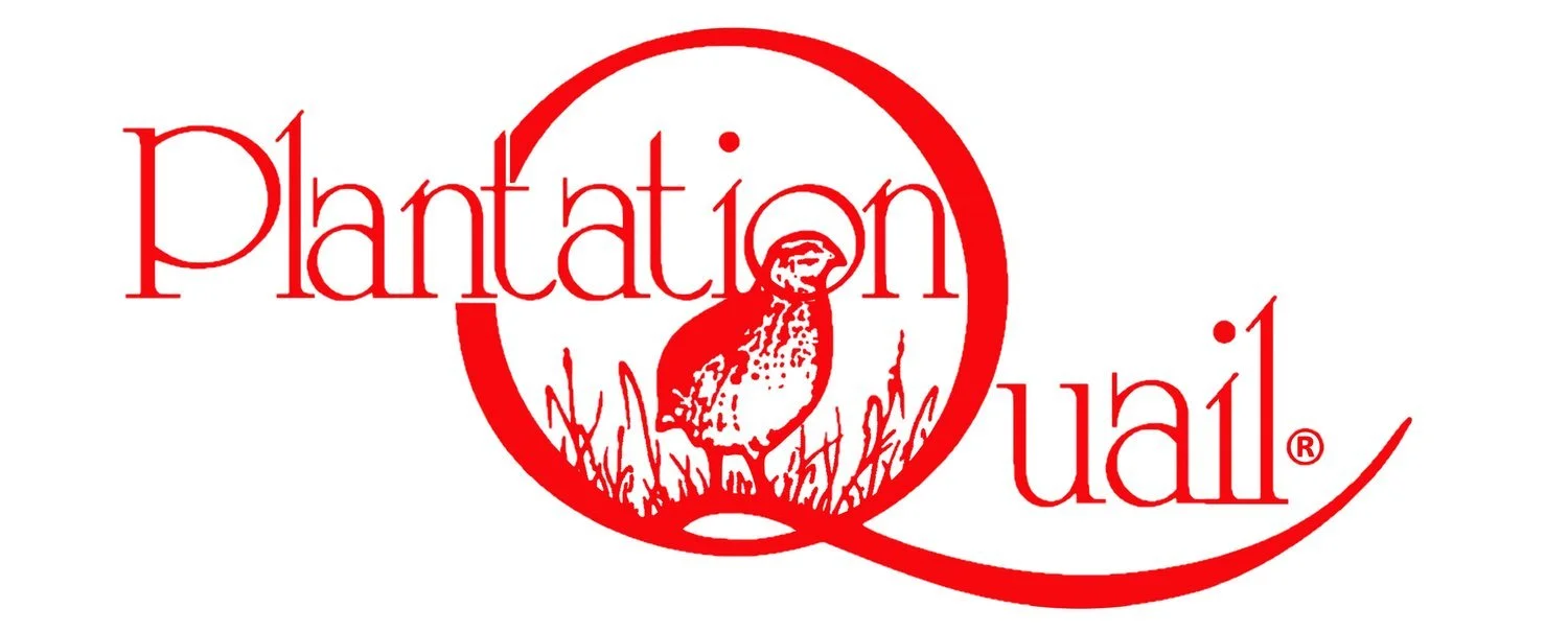 Plantation Quail.jpg