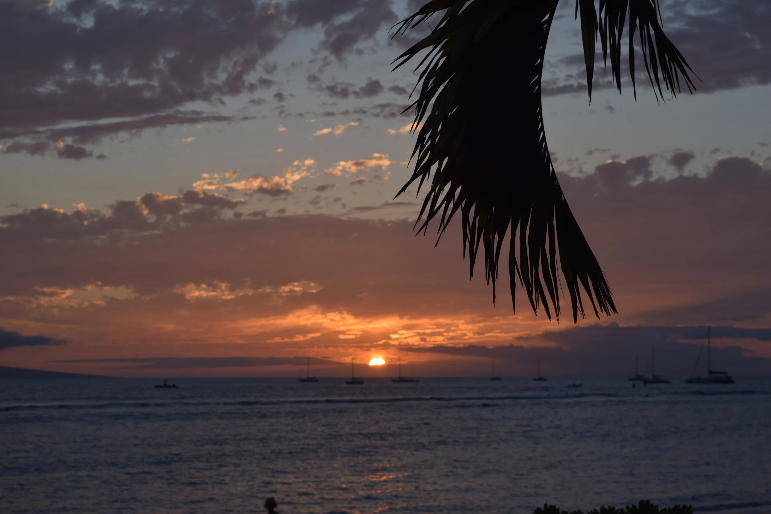 Destination #1: Maui, Hawaii U.S.A. 