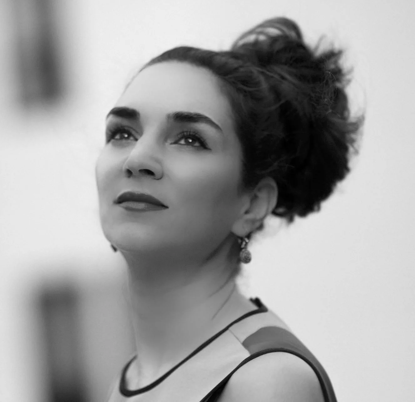  2017:Raya Ani, AIA, LEED AP