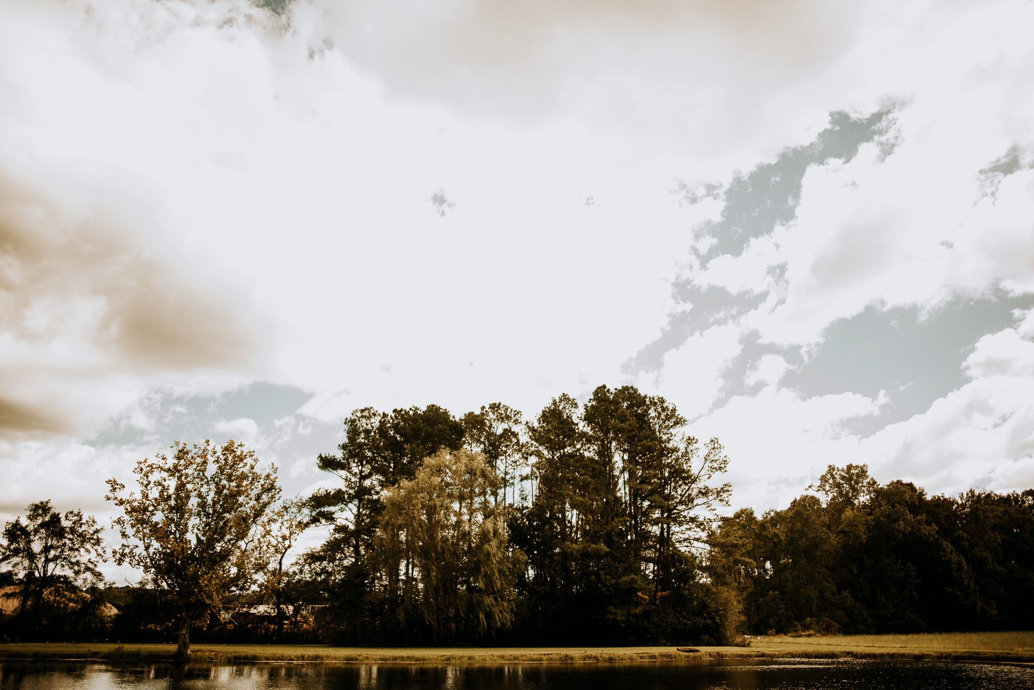DSC_1671.jpg