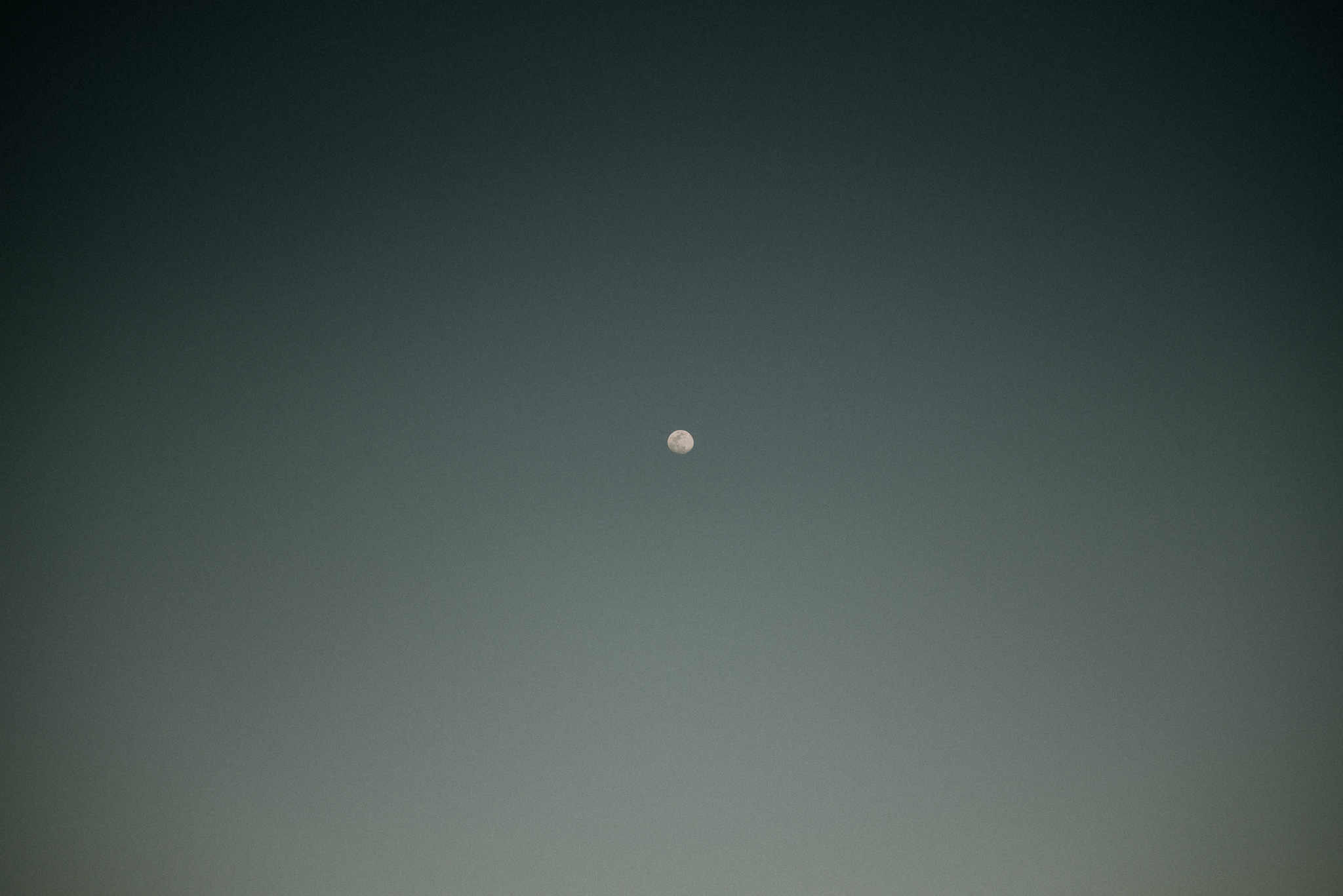 YOP_1160.jpg