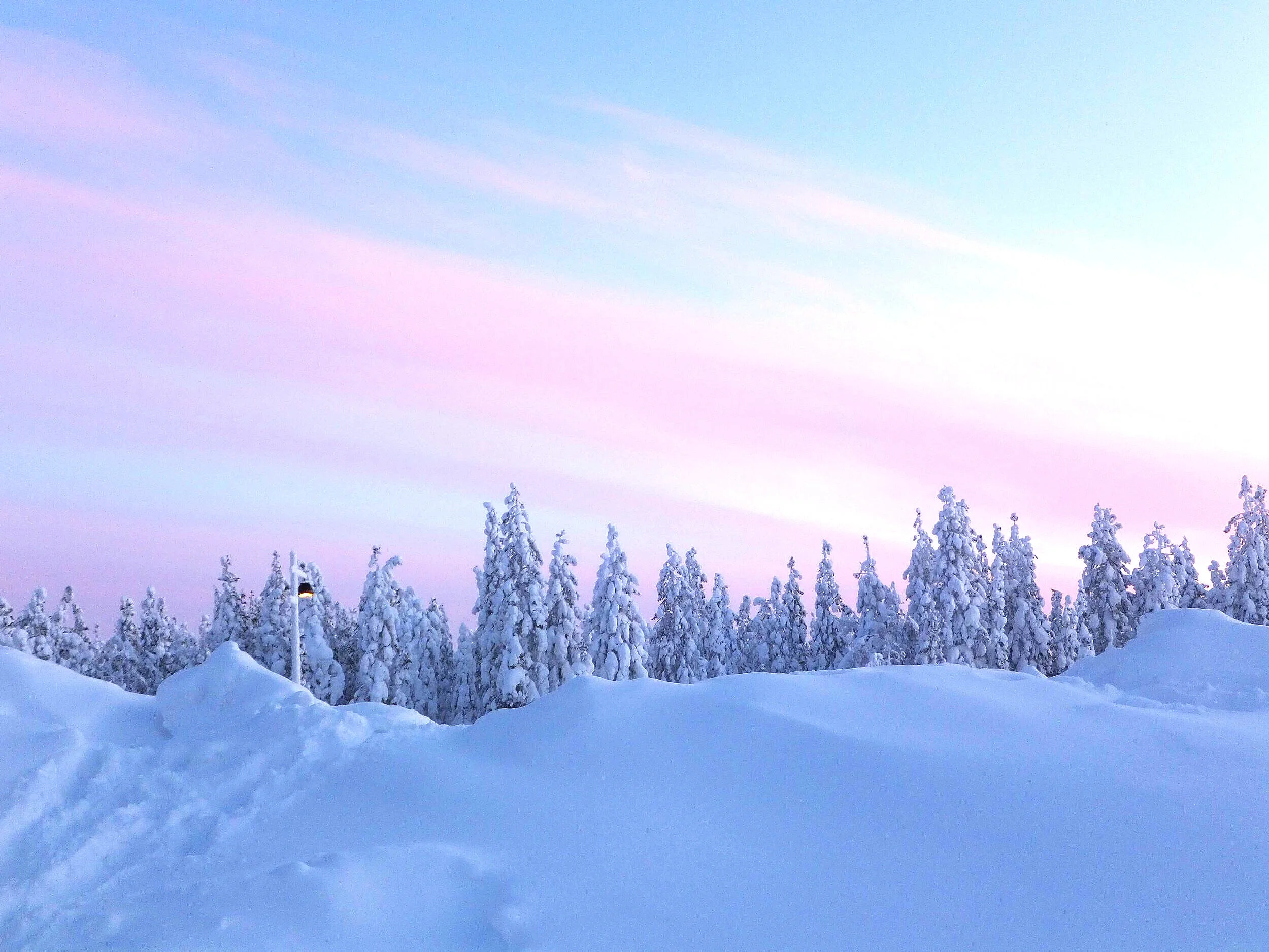 snow_covered_pine_trees_under_cloudy_sky_during_daytime-small.jpg