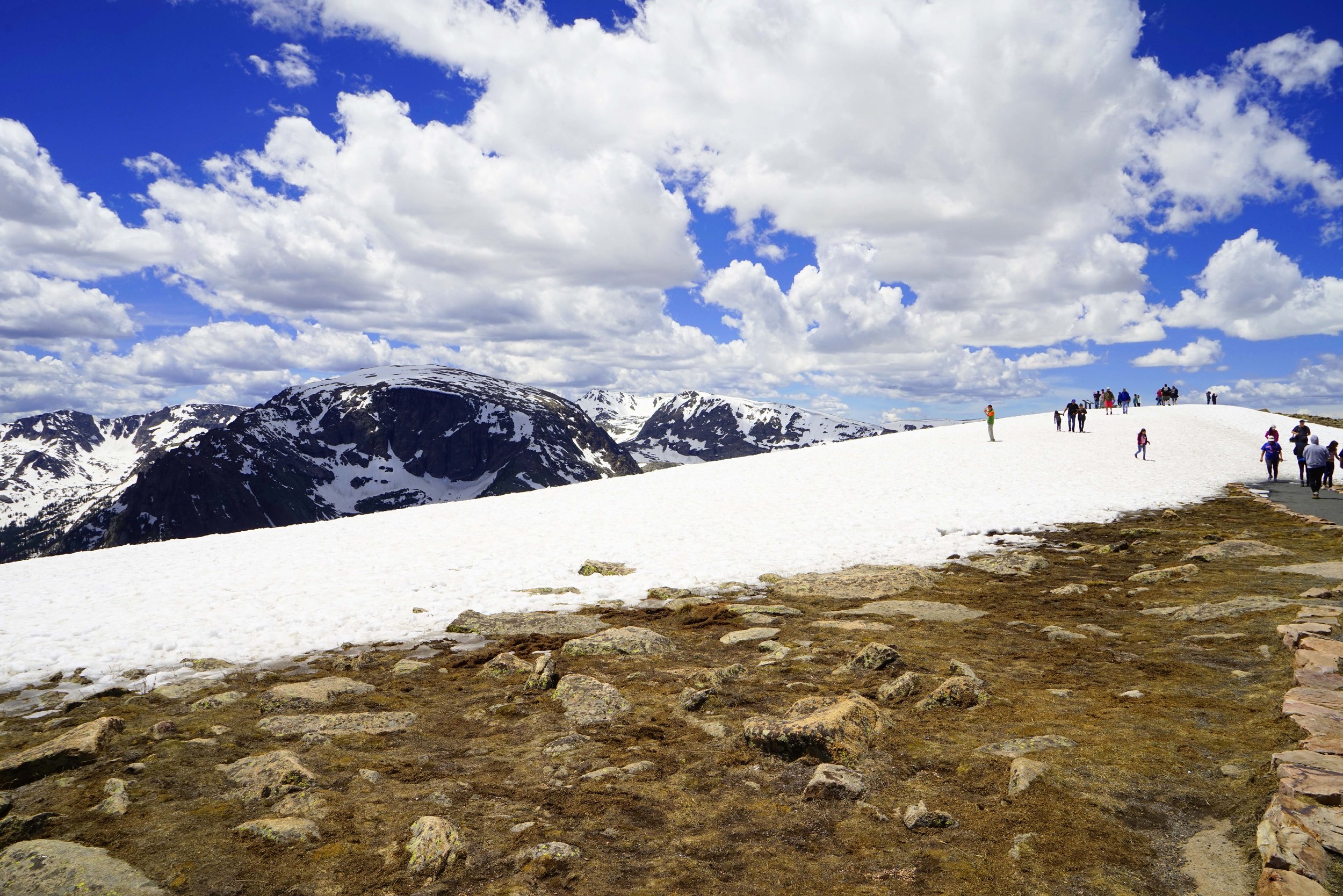 _DSC8666.jpg