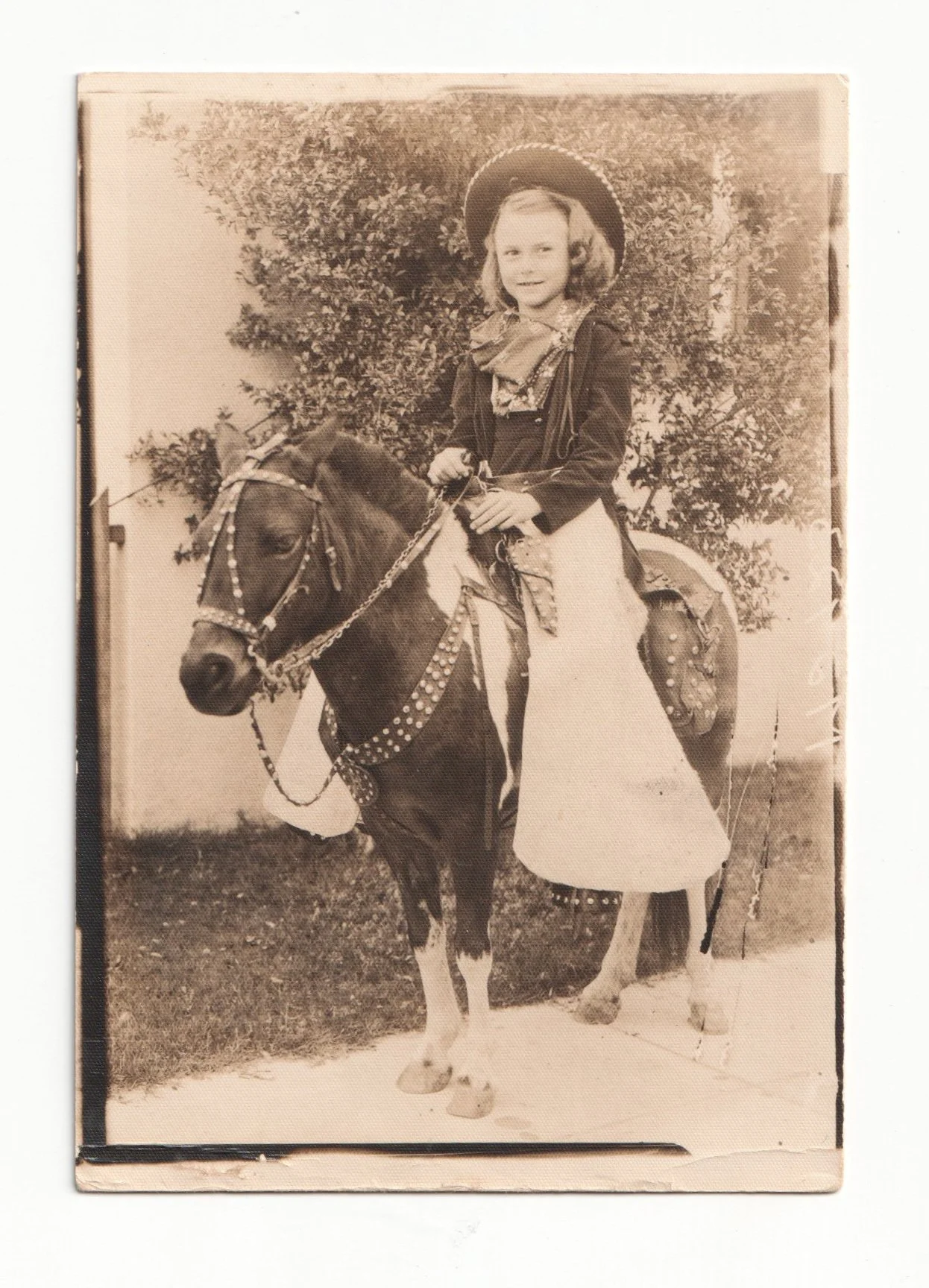 shirleyyoung.jpg