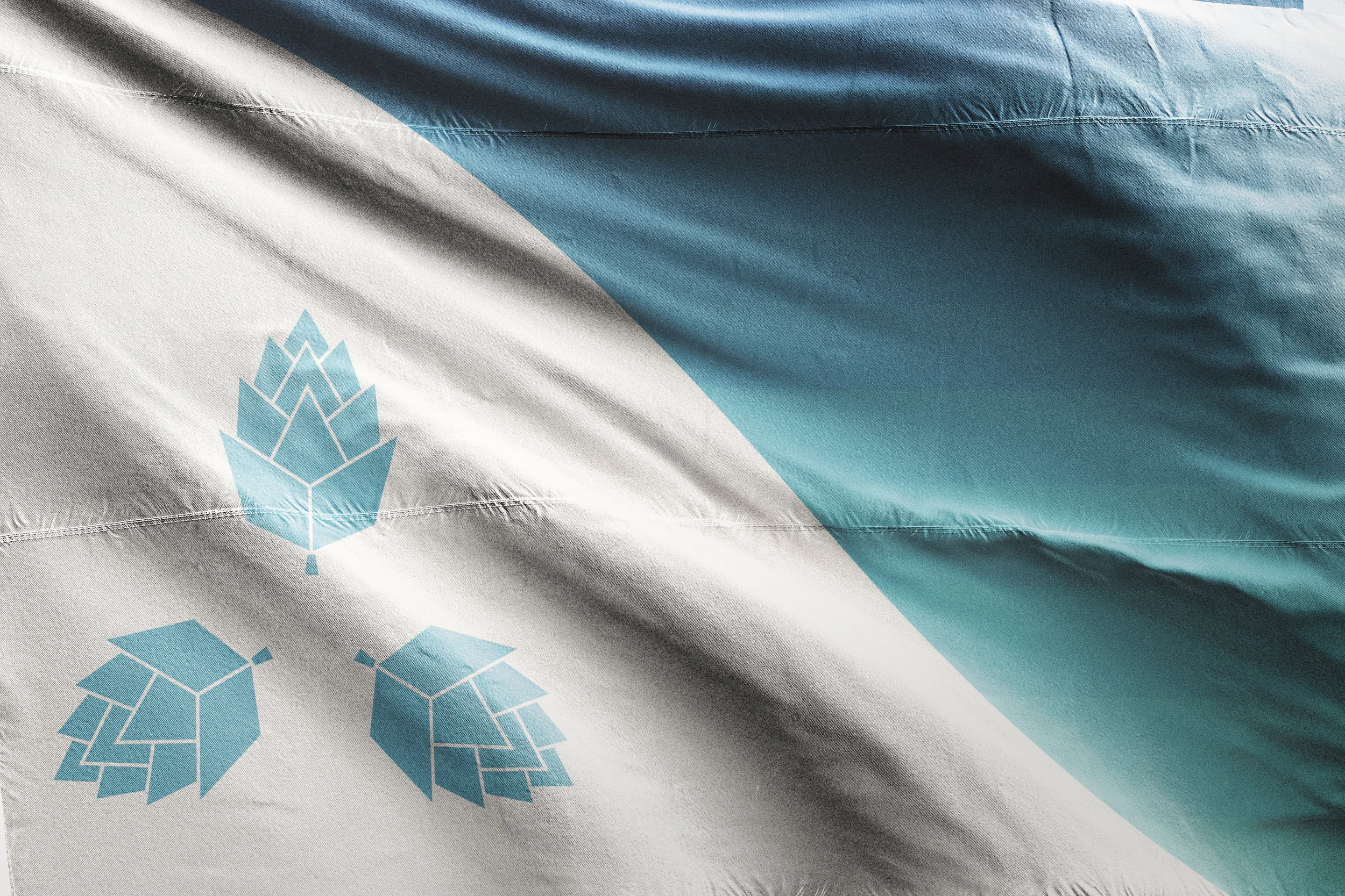 Flag 2 mockup 1.jpg
