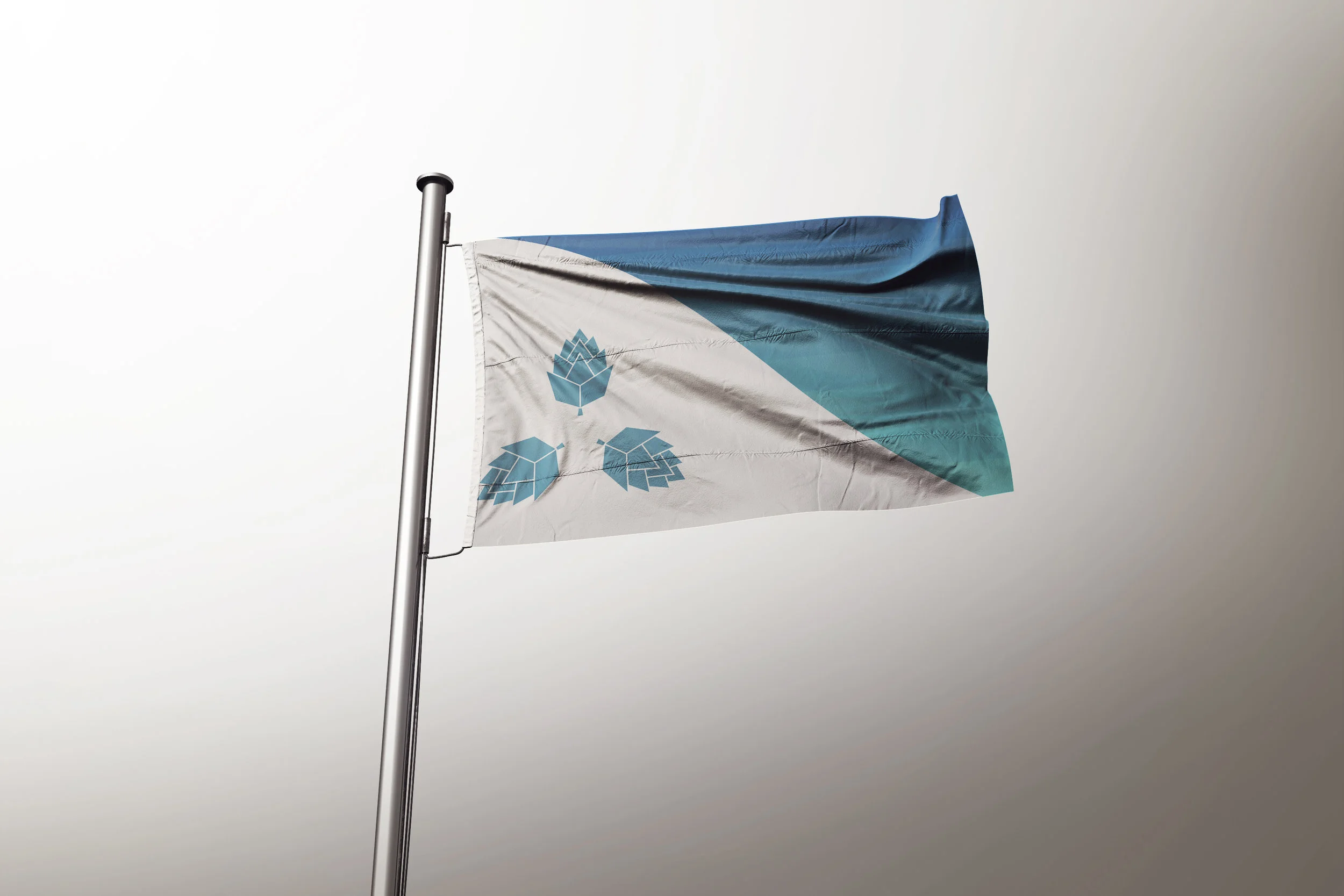 Flag 2 mockup 2.jpg