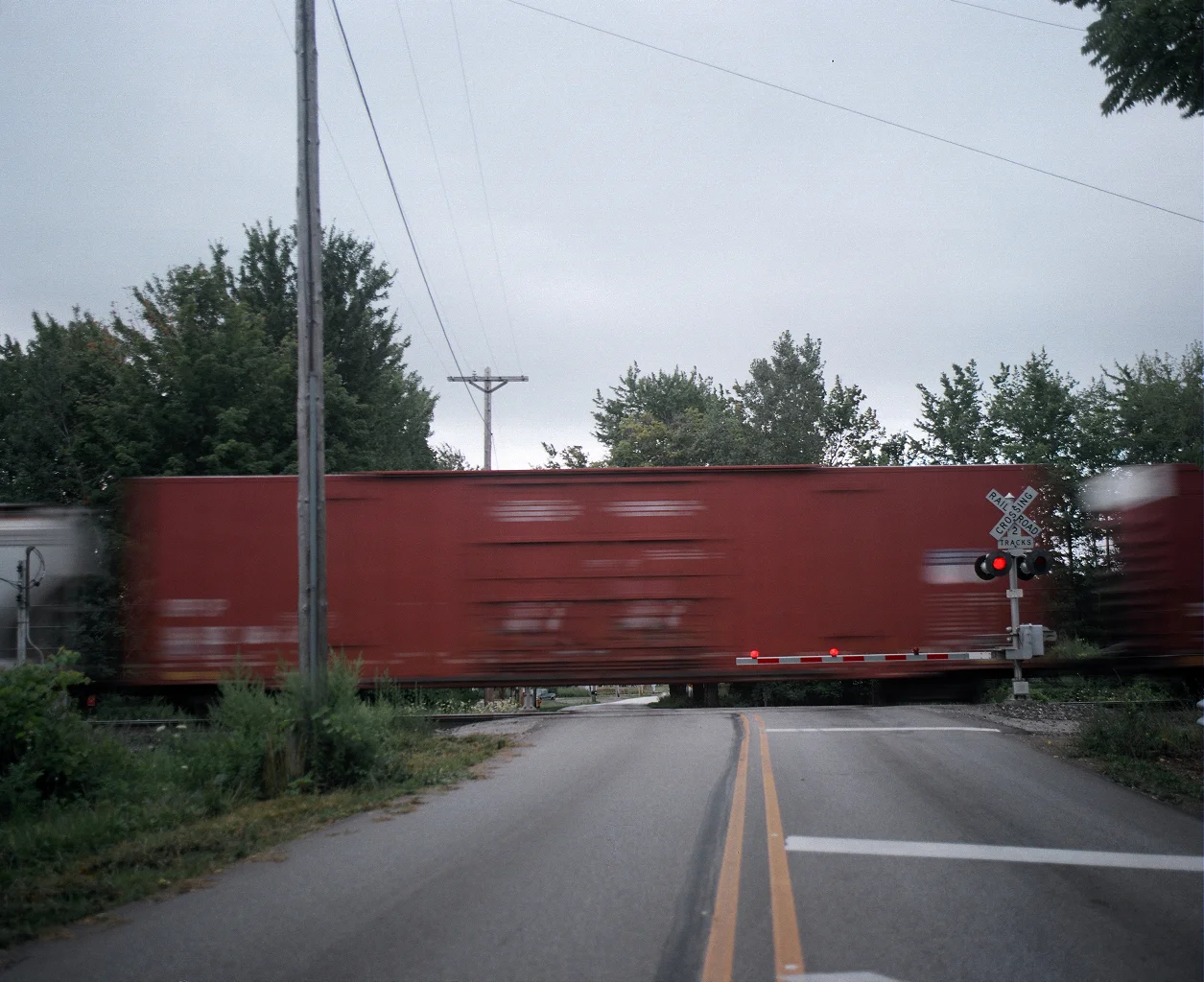 45630025.jpg