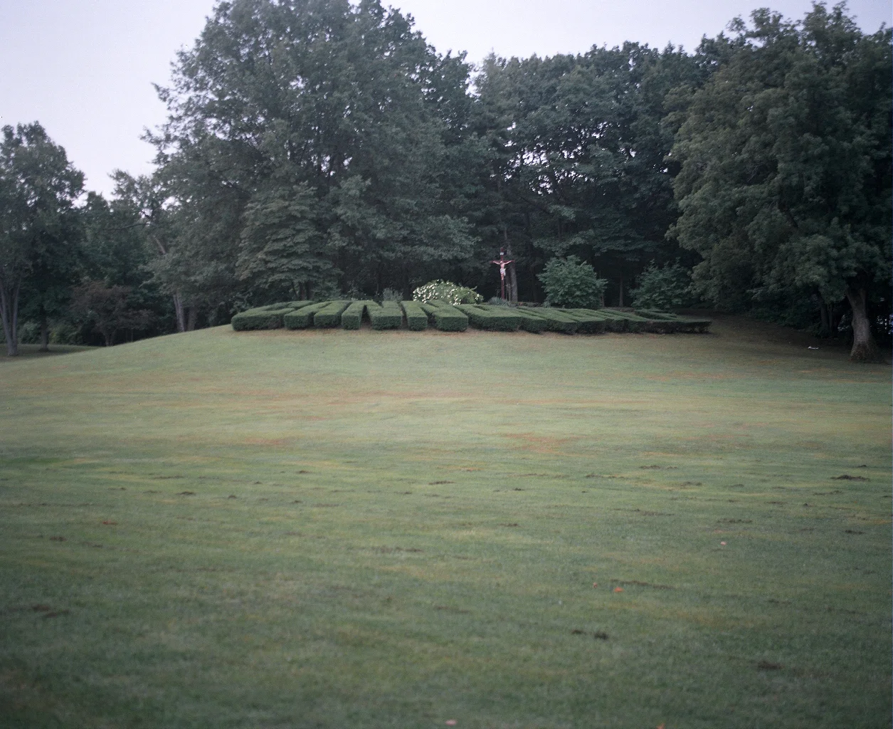 45630026.jpg