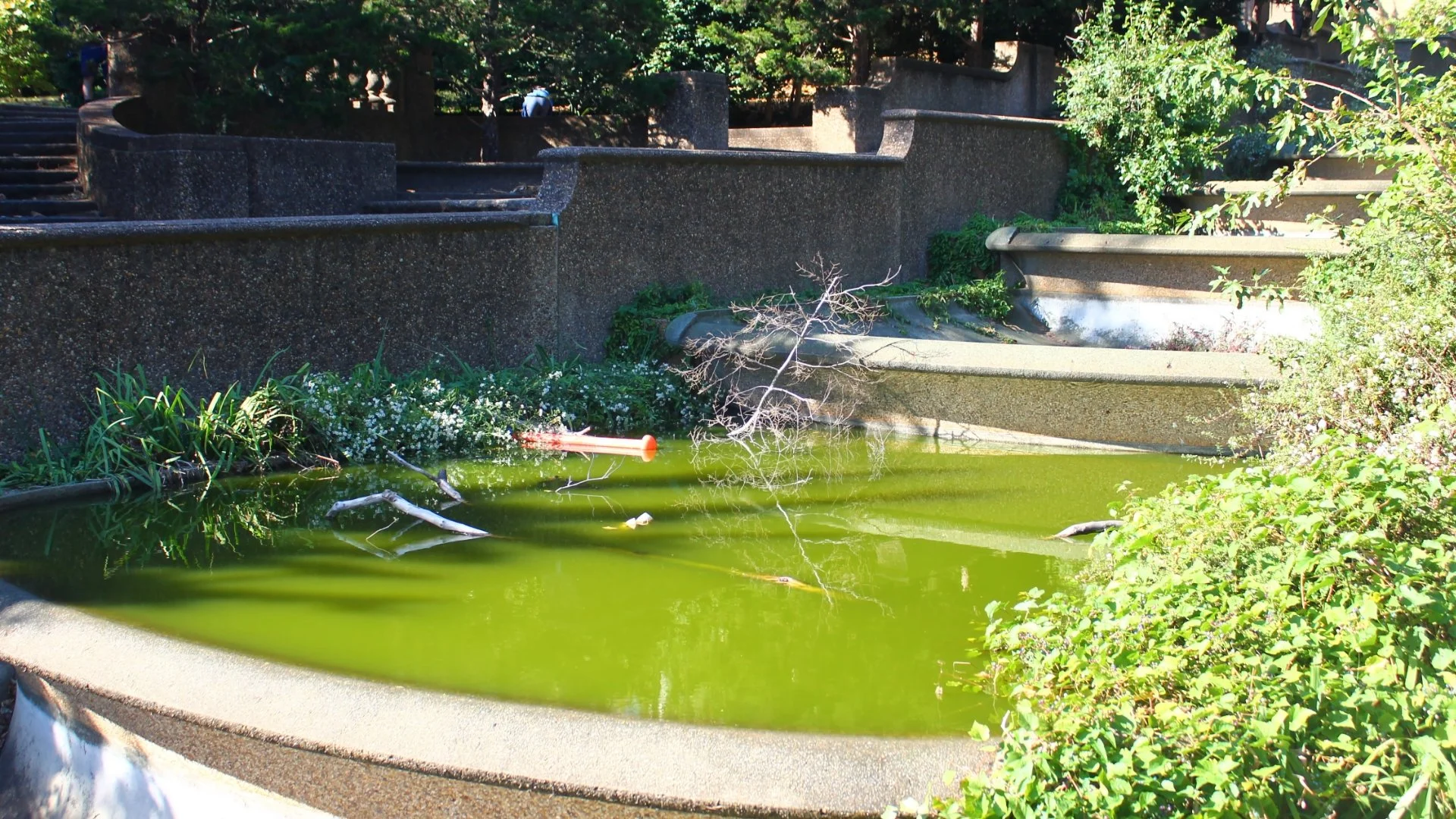 Report Finds that National Park Service Control of DC Parks Exacerbates Inequities &amp; Hinders Park Activation in Nation’s Capital