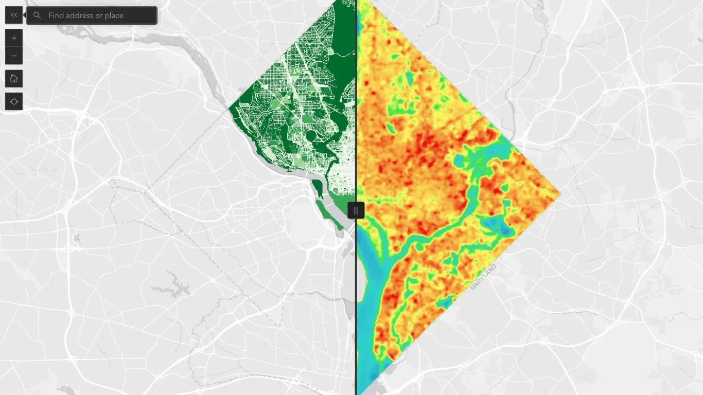 Urban Tree Canopy and Land Surface Temperature in DC