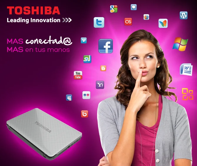 portfolio_slider_pic_toshiba1.jpg