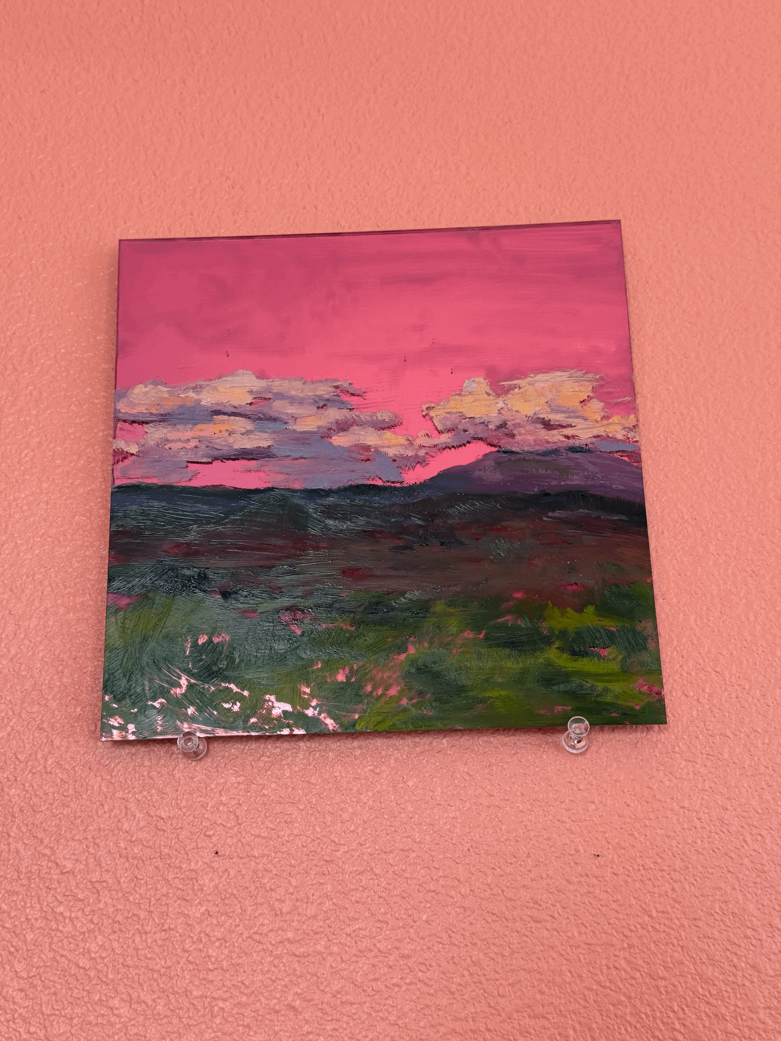 Pink Mirror Landscape