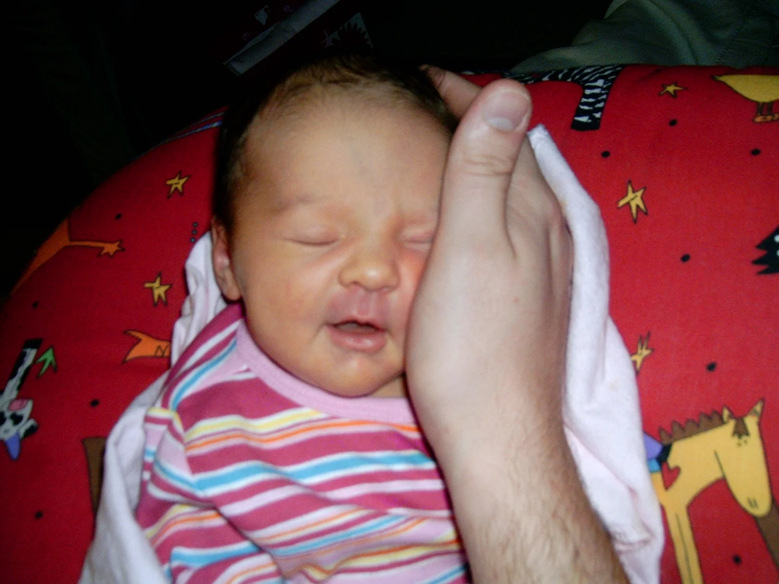 A Father's Advice to Uncle Betz