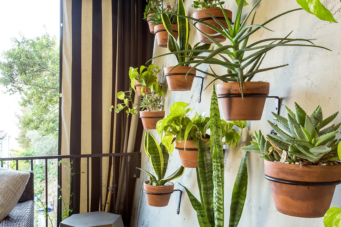 CAM20530_edited_MLS size.JPG