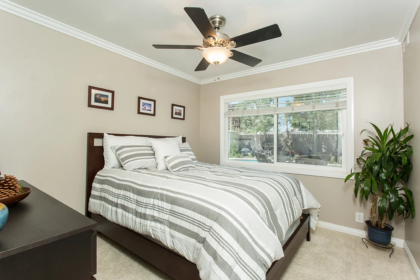 CAM20486_edited_MLS size.JPG