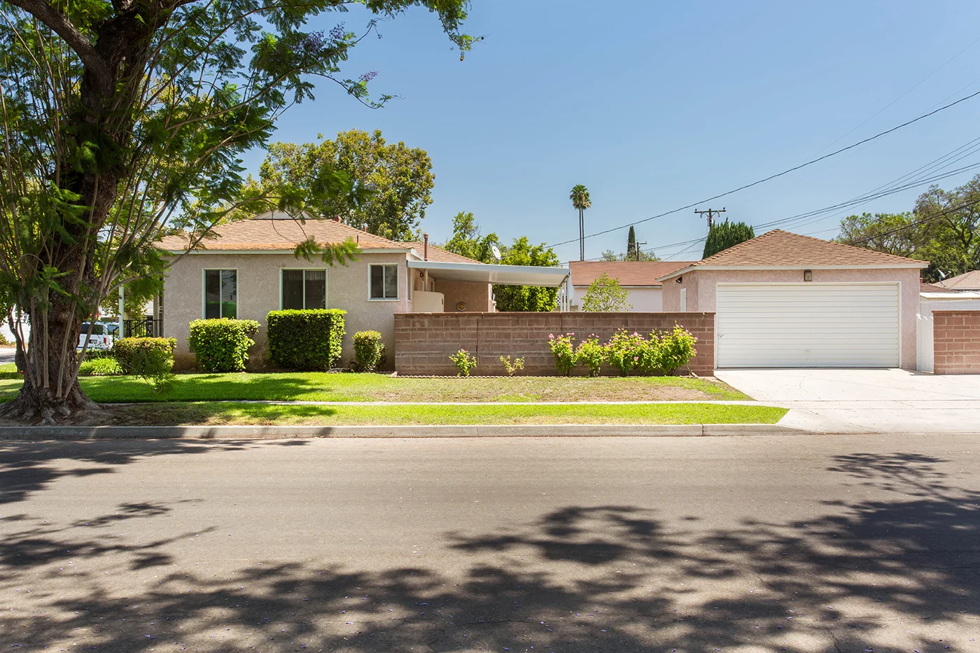 CAM20574_edited_MLS size.JPG