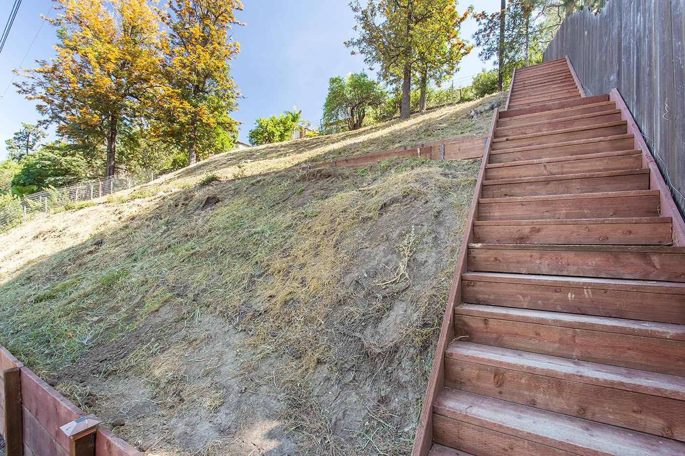 CAM21603_edited_MLS size.JPG