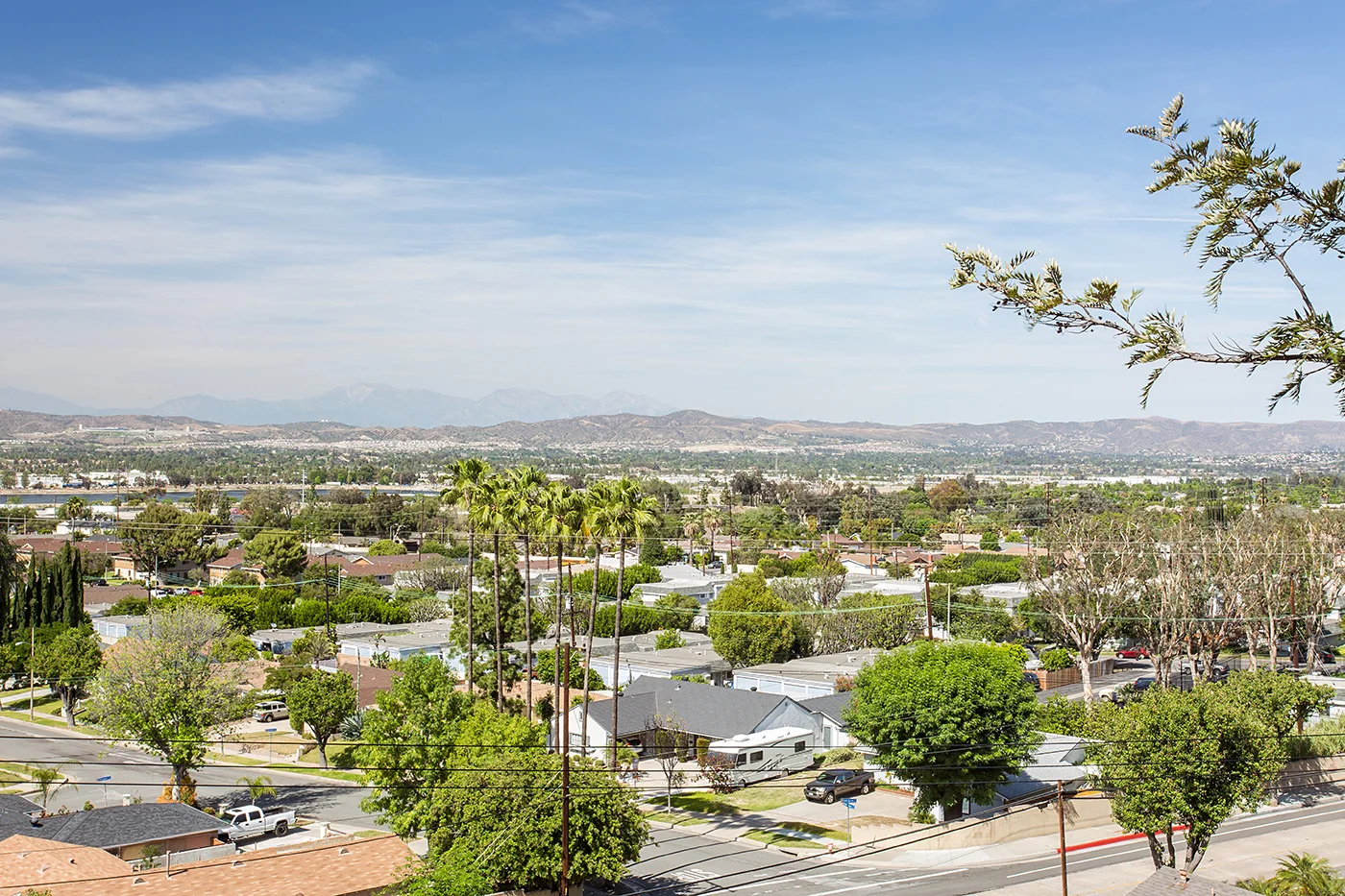 CAM21607_edited_MLS size.JPG