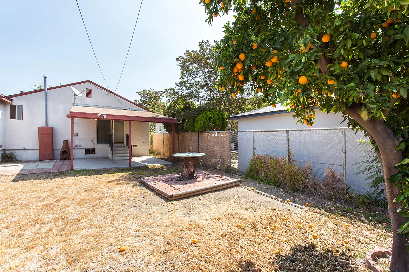 CAM21590_edited-2_MLS size.JPG