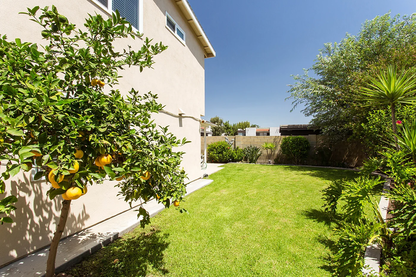 CAM21836_edited_MLS size.JPG