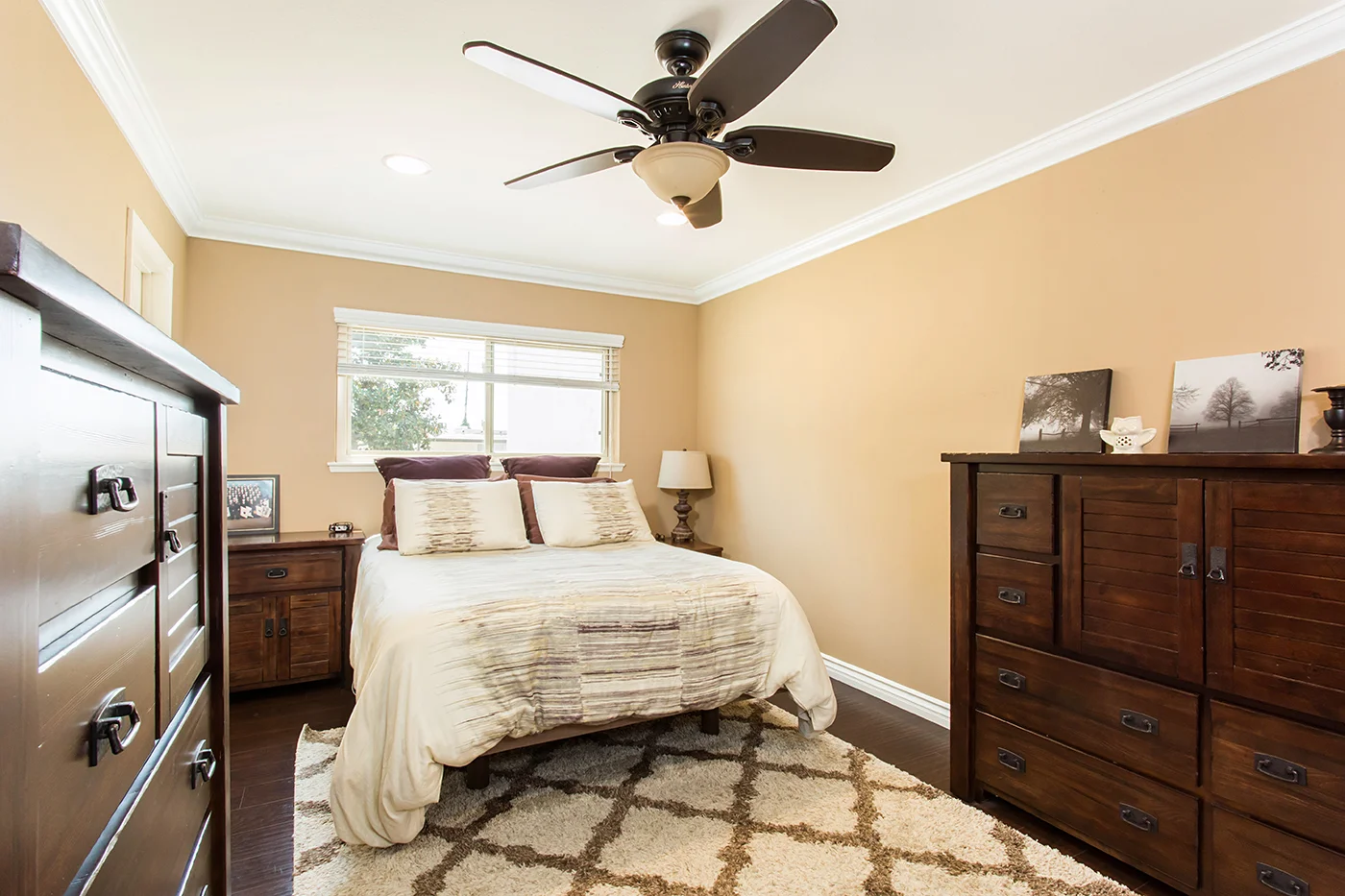 CAM23239_edited_web size.JPG