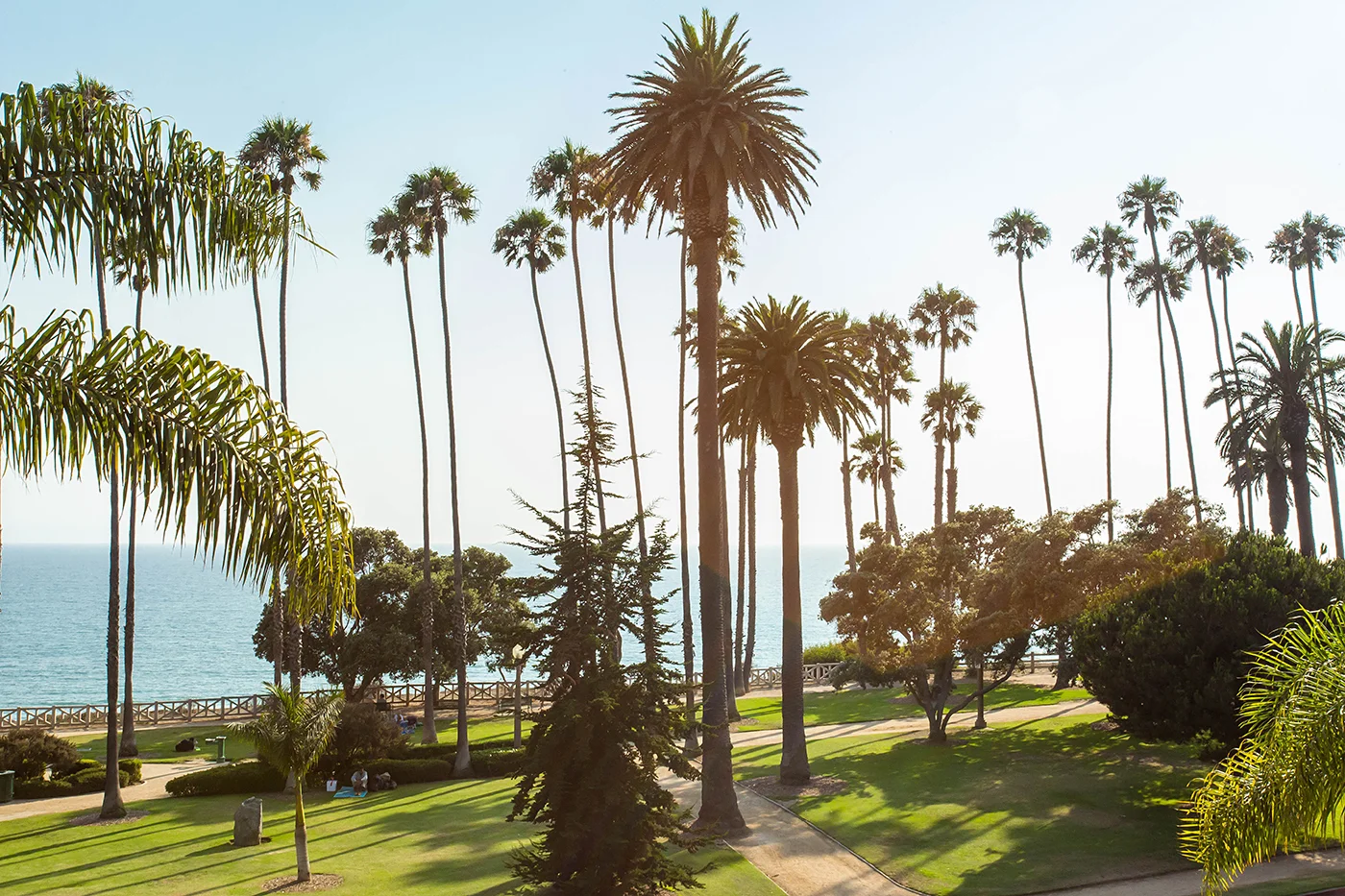 CAM23211_edited_web size.JPG