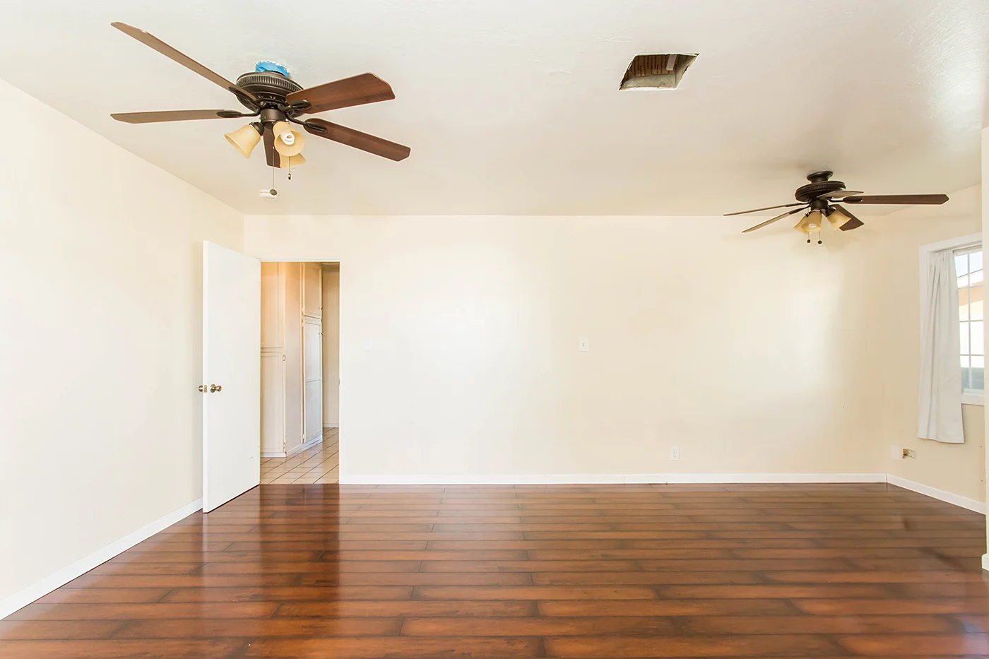 CAM21181_edited_web size.JPG