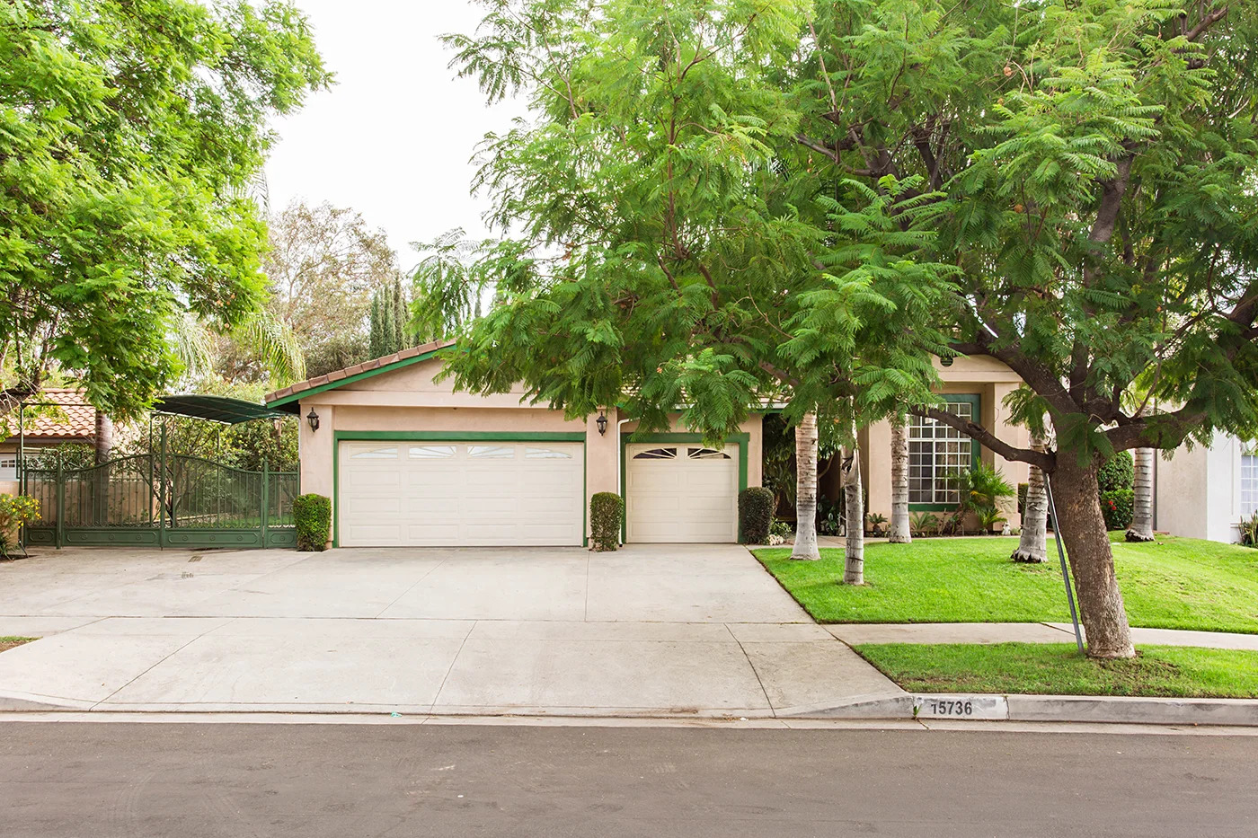 CA8A0720_edited_web size.JPG