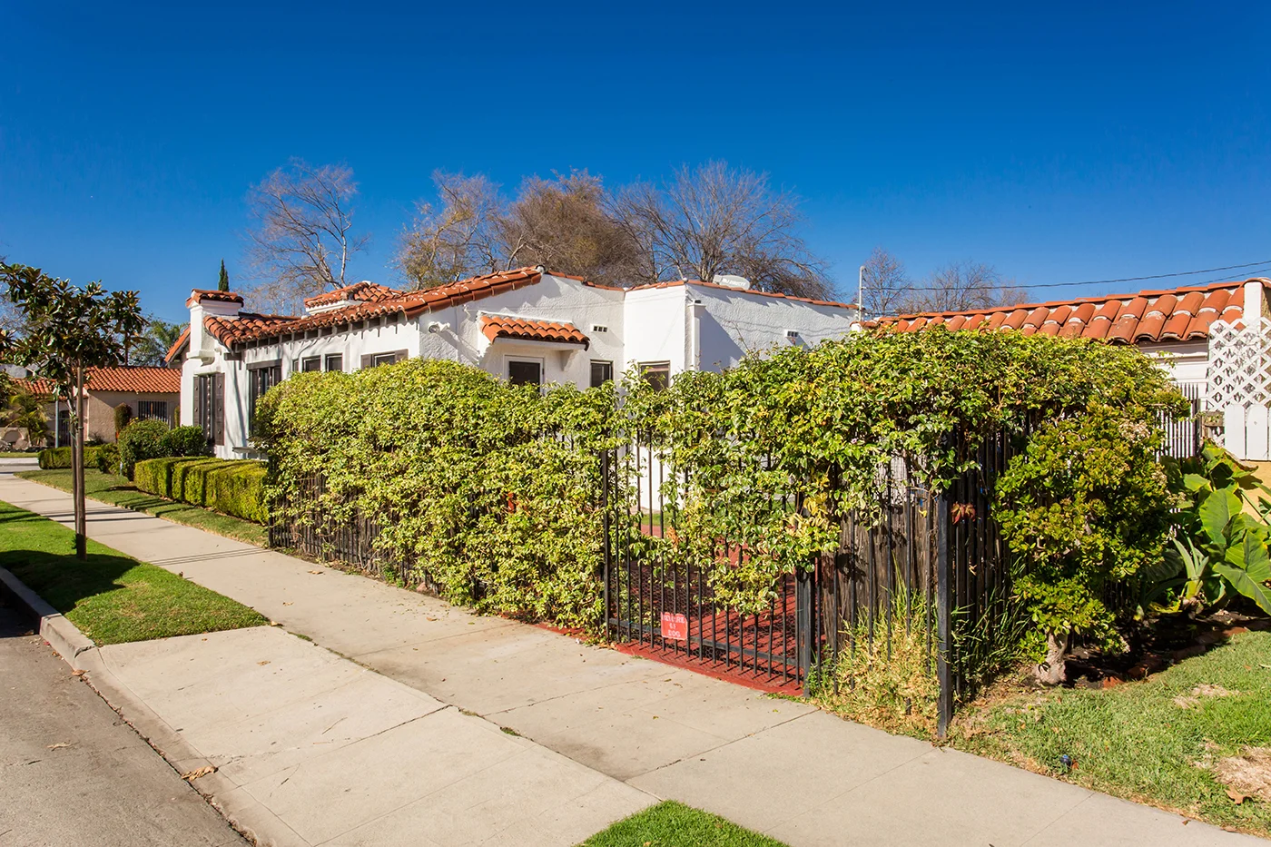 CA8A3650_edited_web size.JPG