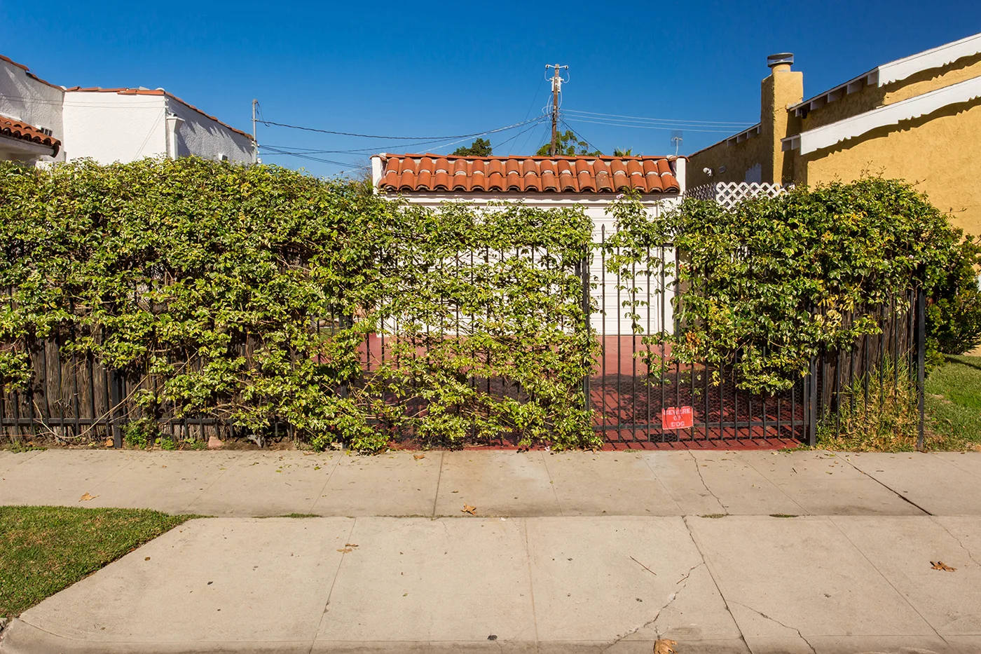 CA8A3655_edited closed_web size.JPG