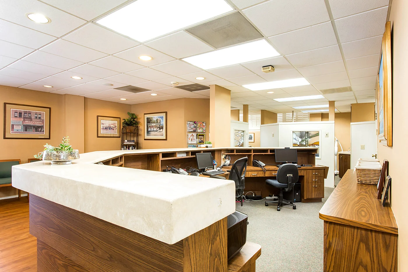 CAM22351_edited_web size.JPG