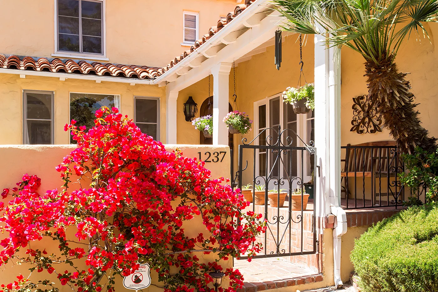 CAM24318_edited_web size.JPG