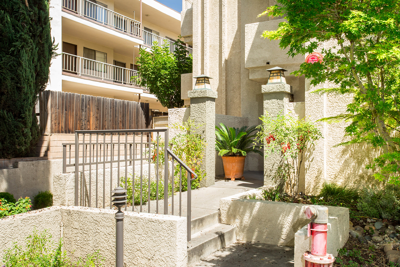 CAM24758_edited_web size.JPG