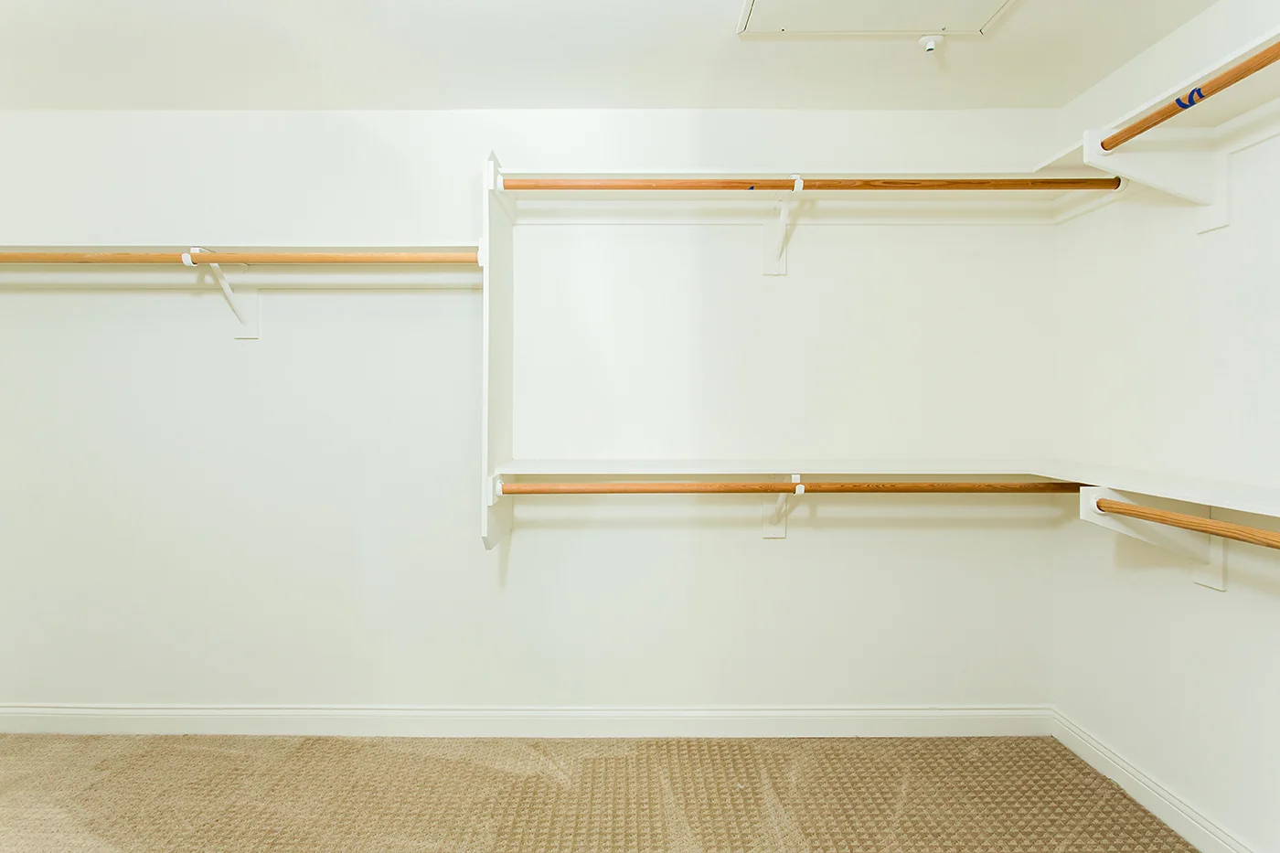 CAM11151_edited_web size.JPG