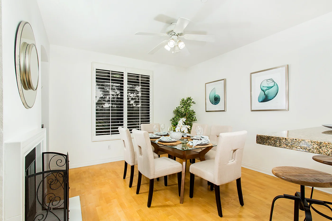 CAM11231_edited_web size.JPG