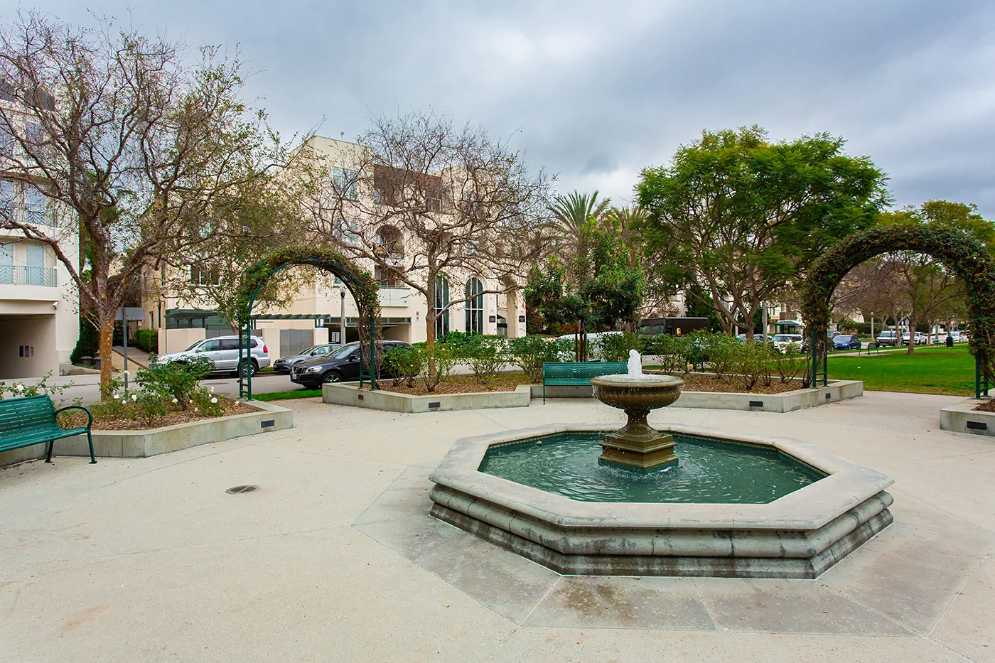 CAM11254_edited_web size.JPG