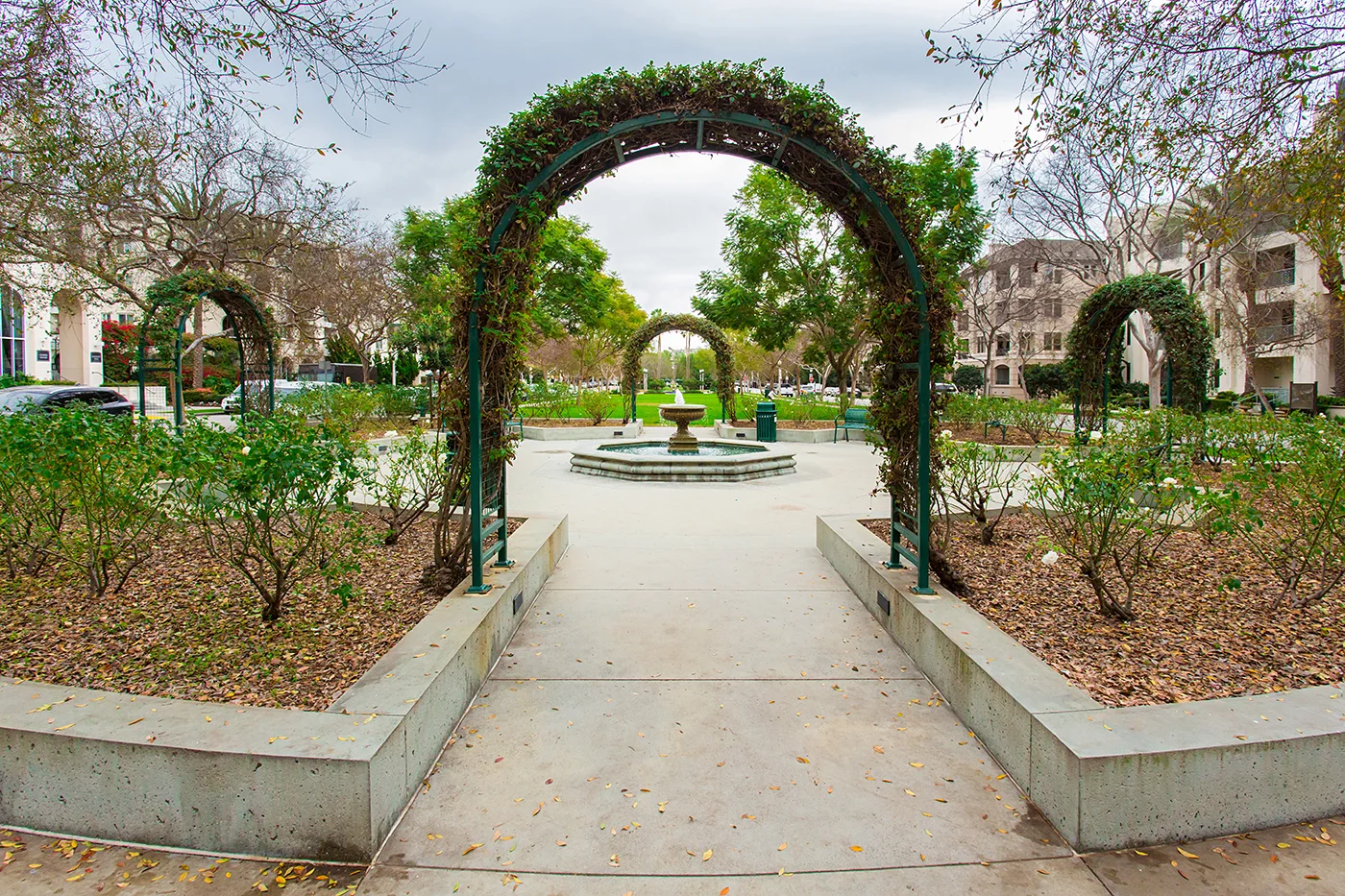 CAM11248_edited_web size.JPG