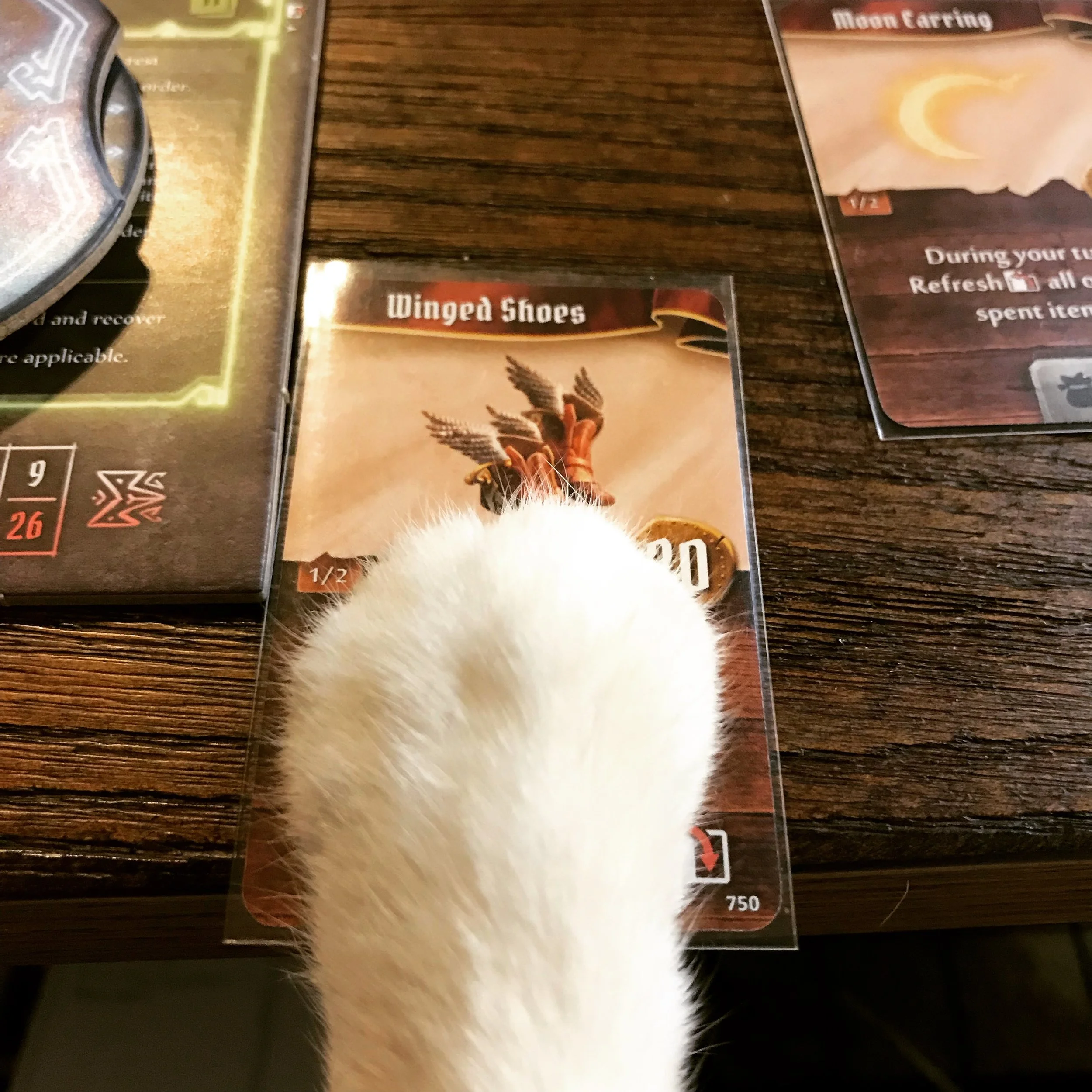 Adrienne's cat knows what card to play