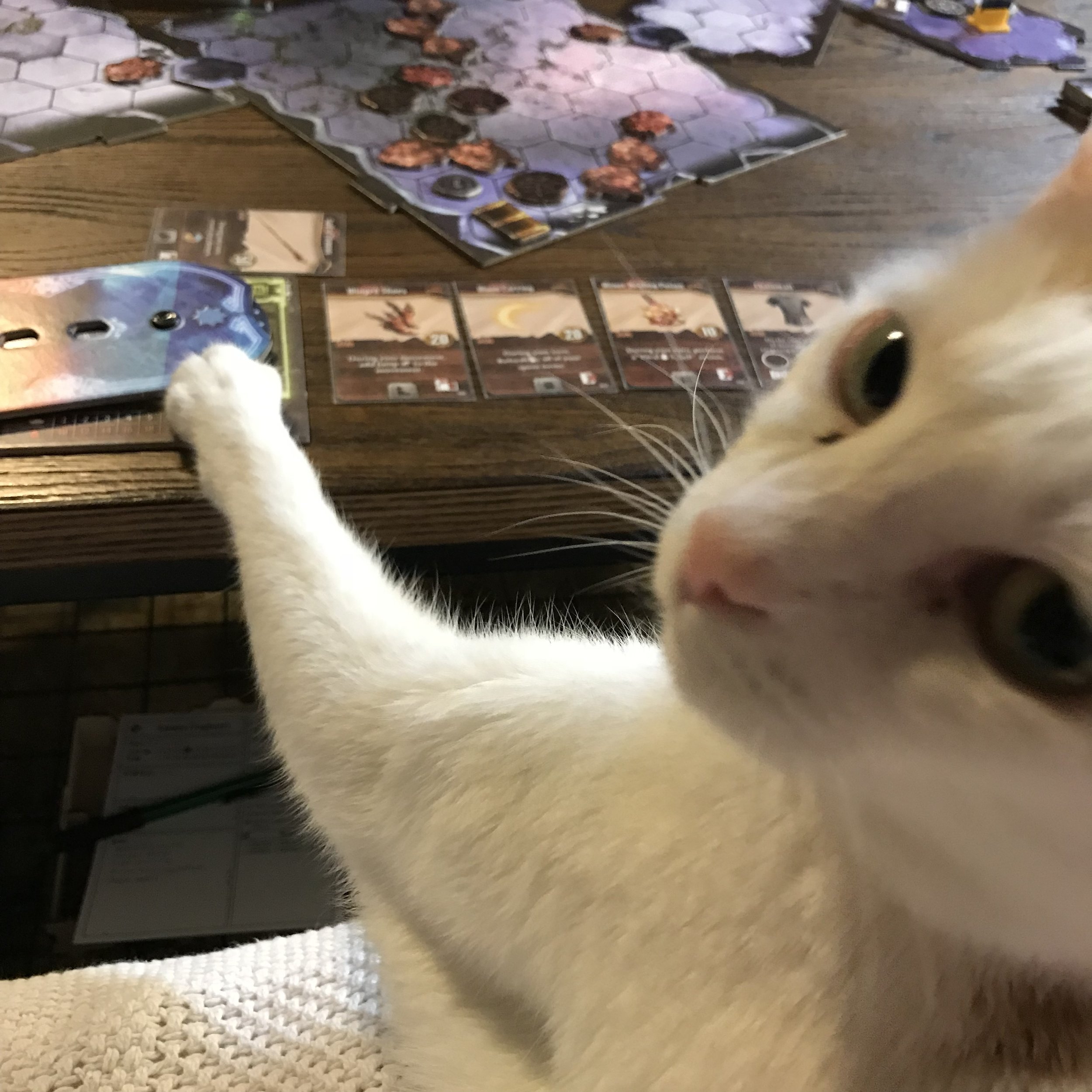 Adrienne's cat helping in Gloomhaven