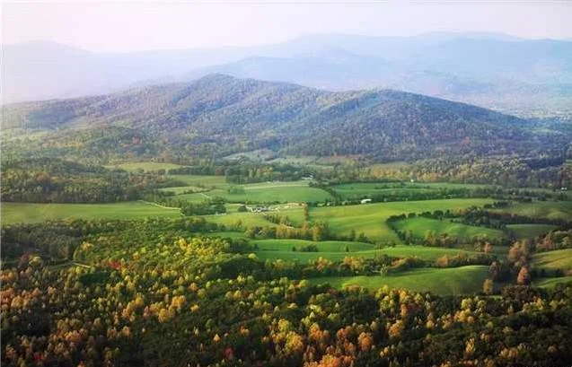 Cville Landscape.jpg