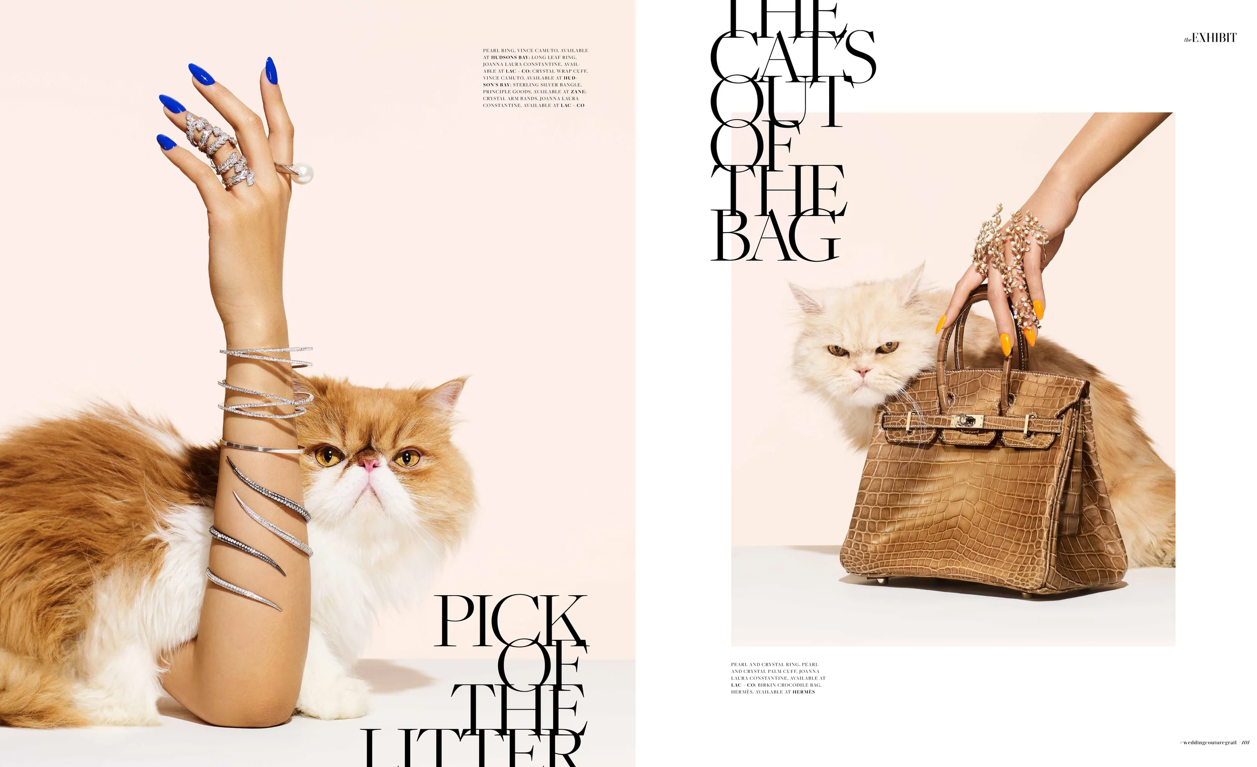 The Exhibit Editorial-2.jpg