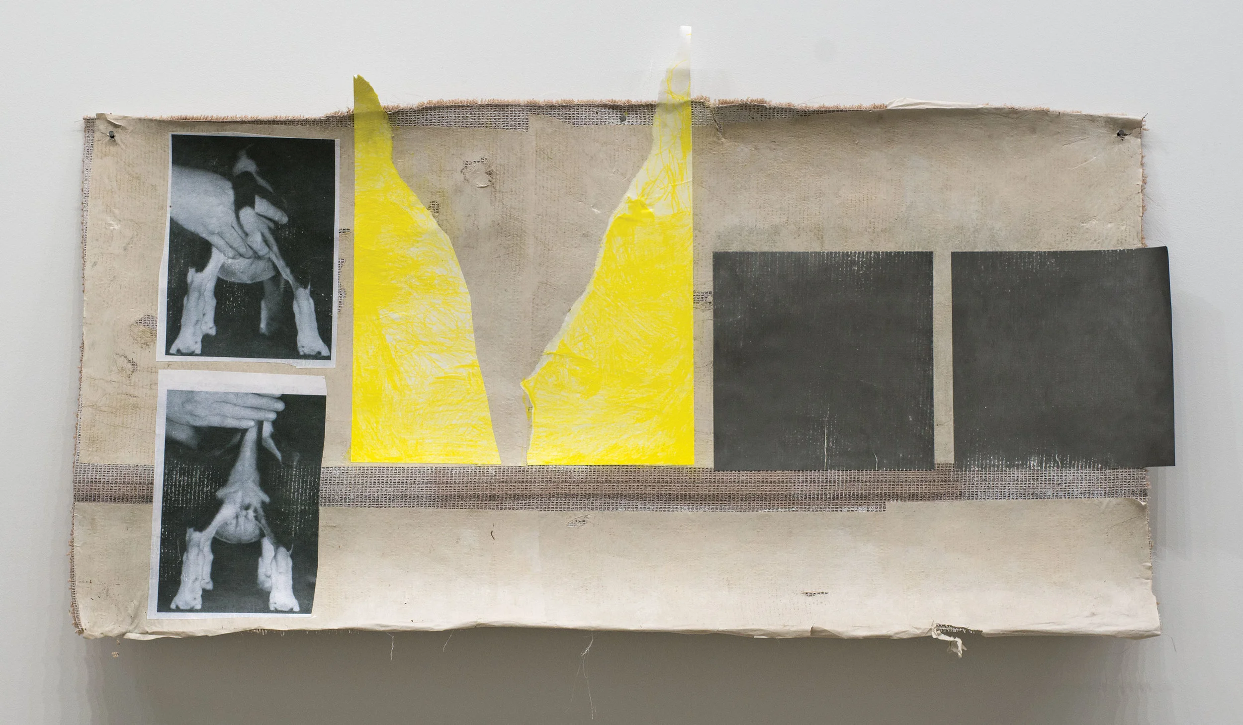 Idiotic and Profound: The Tail reproduced image, crayon, and paper on carpet 28” x 58”