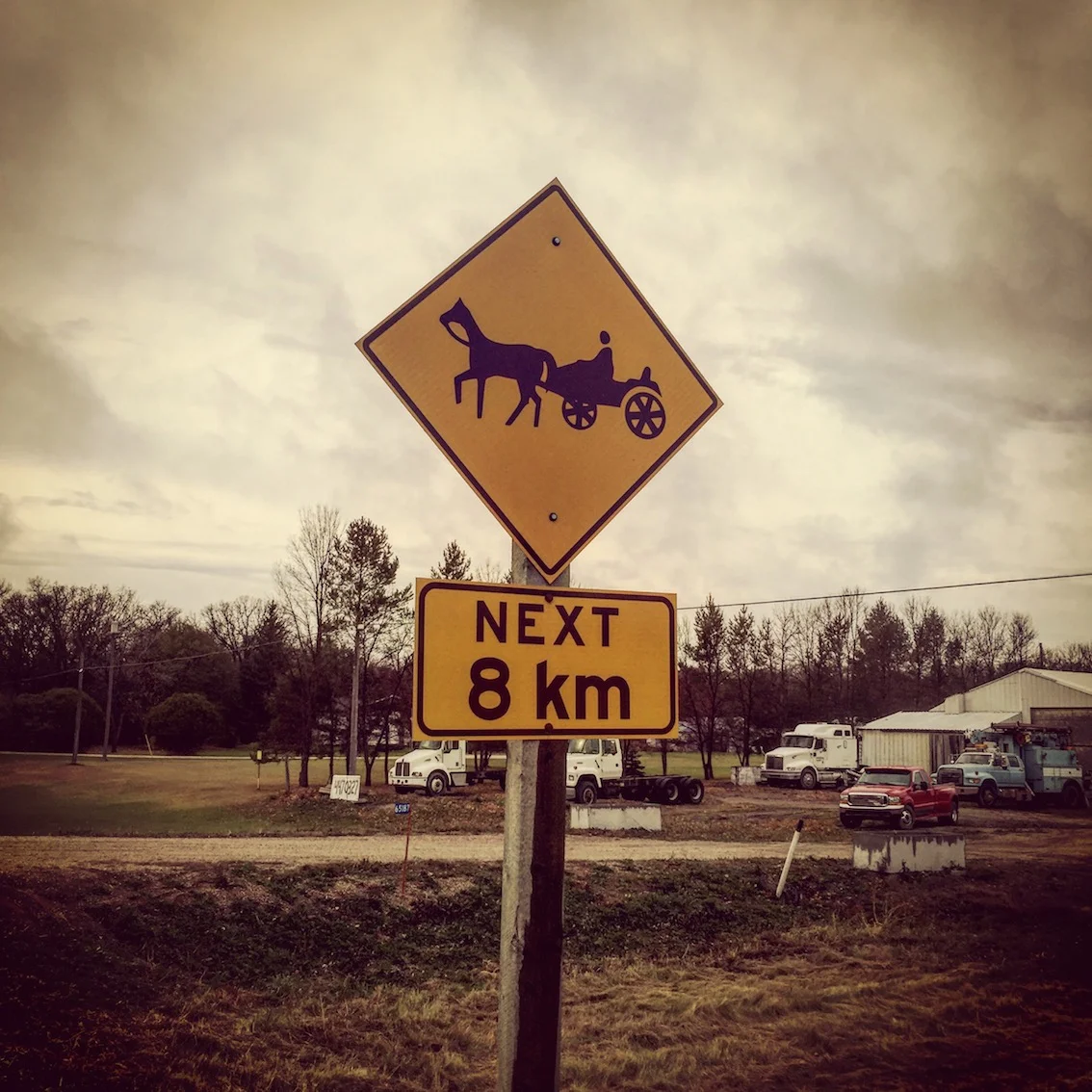 Back to the future. It's funny what becomes fascinating and worthy of a photo in the prairies.