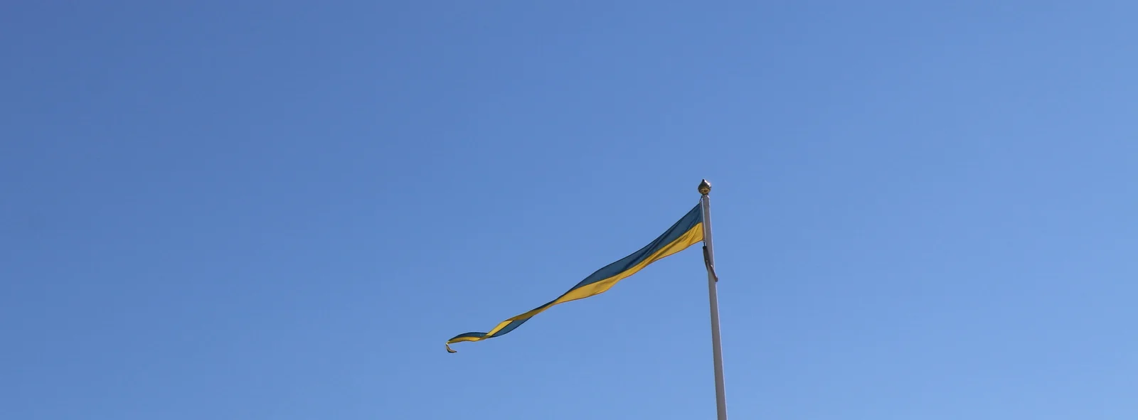IMG_3713.JPG