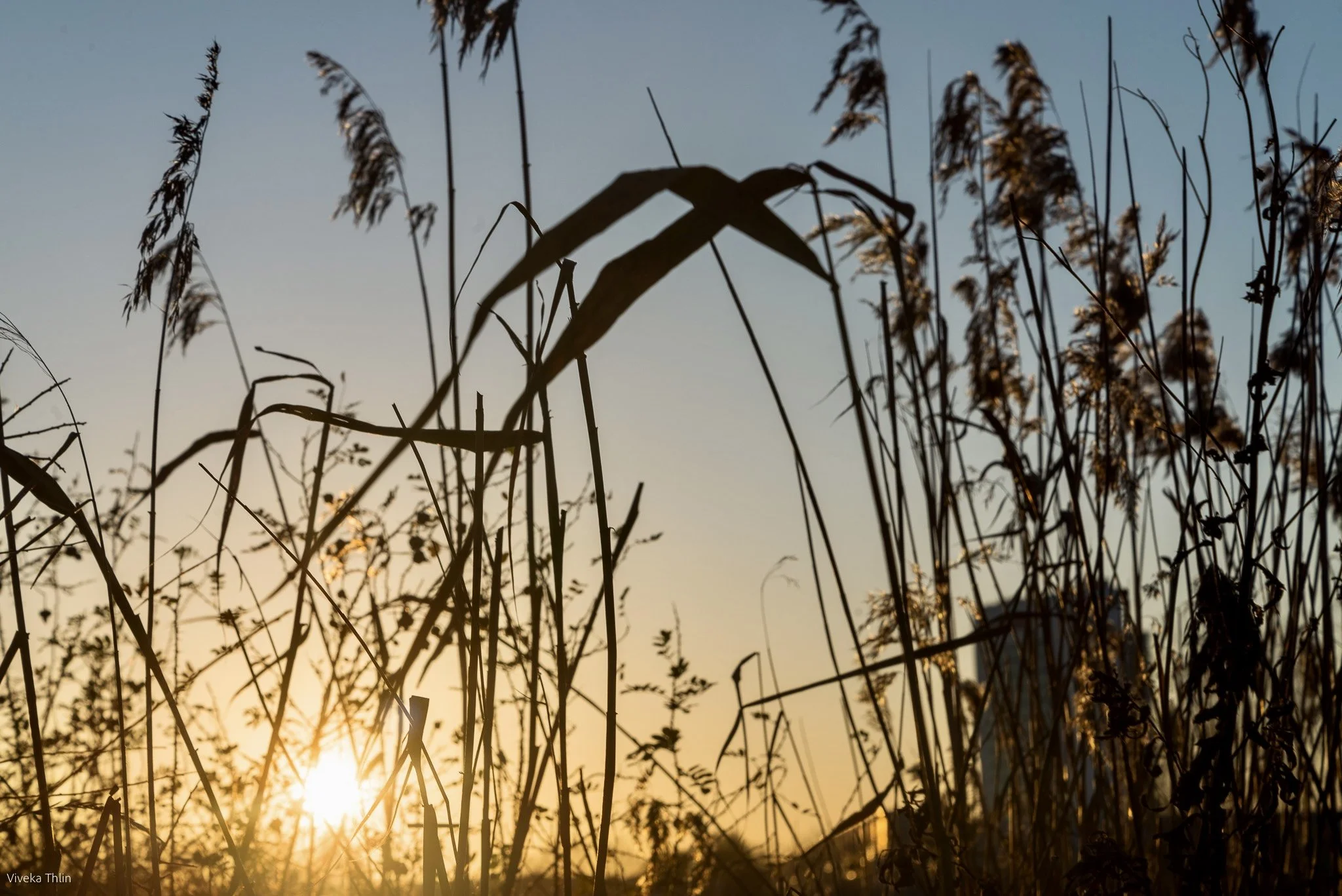 namnlöst (14267 av 15867).jpeg