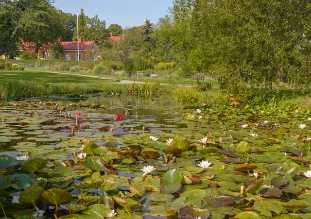 Bergianska  (13 av 374)24.0-85.0 mm f-3.5-4.5.JPG