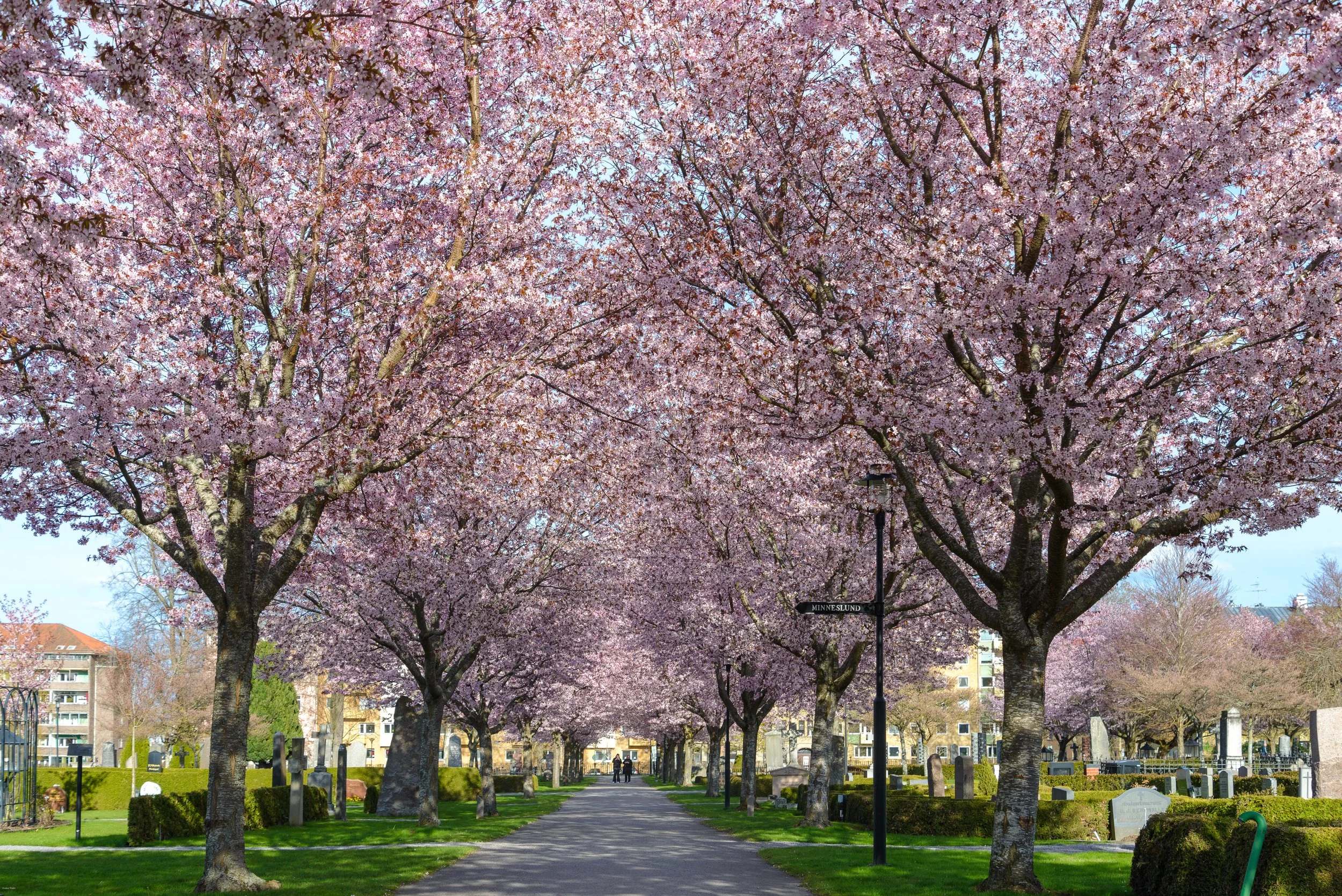 Norrköping  2024-04-29-161.jpg