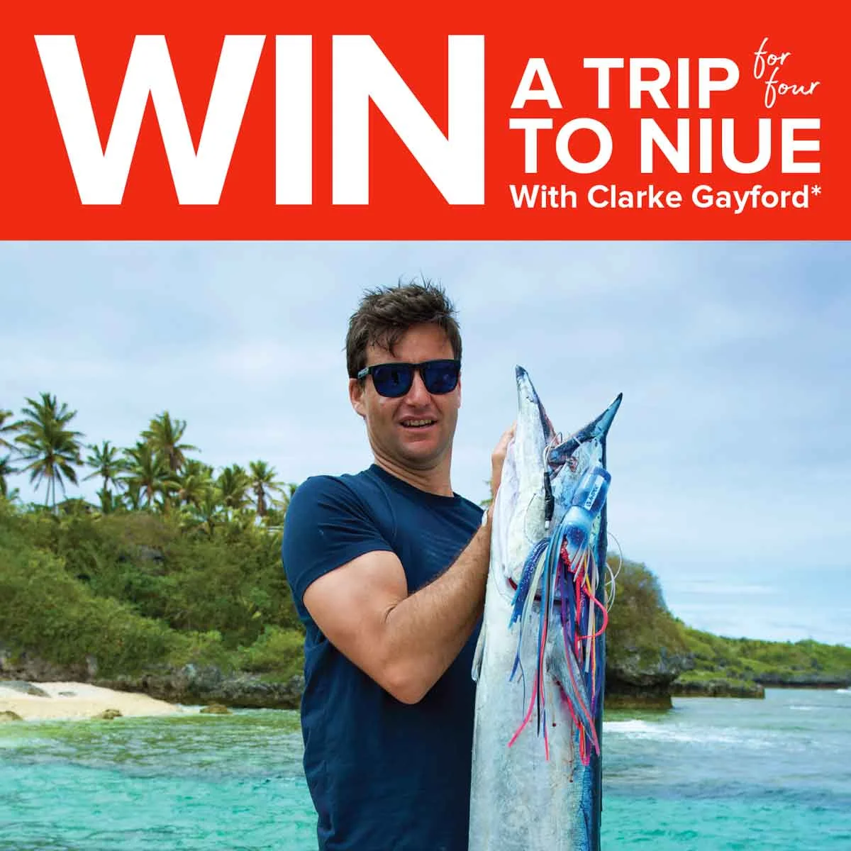 WIN-website-image.jpg