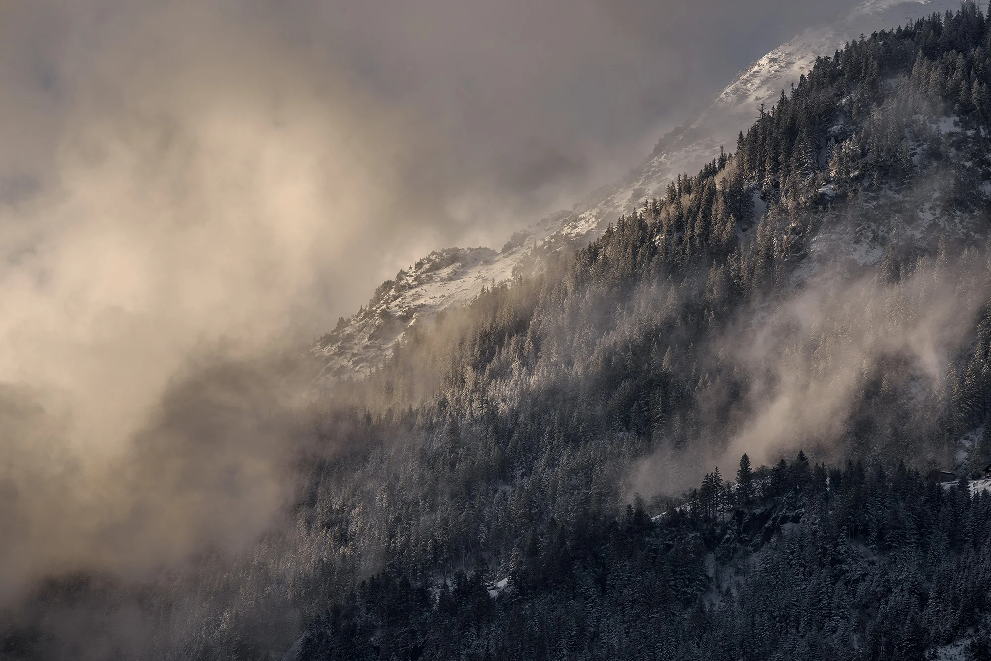 2016_04_Bilderbub_Spirig_GBT_Landschaft_04.jpg